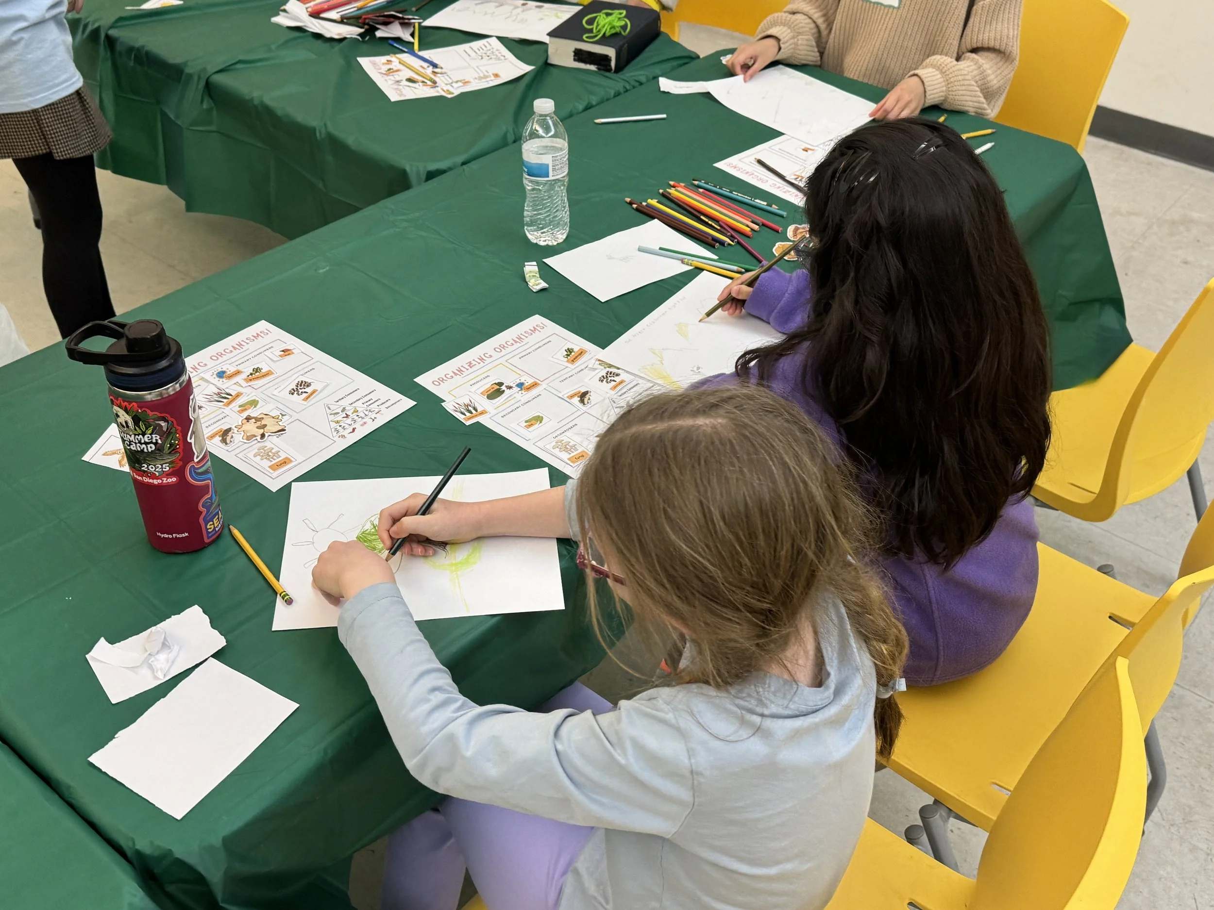 Participants designed their own ecosystems at our Ecology Explorers Workshop. 1/10/26