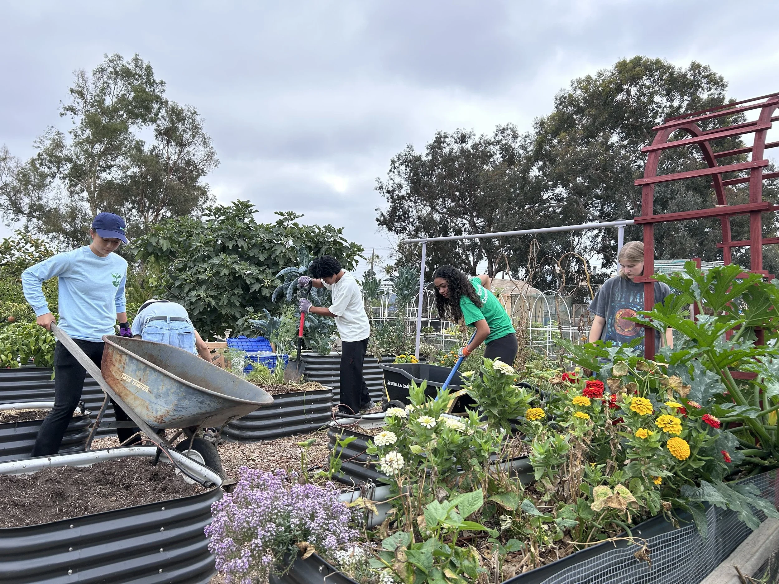 Volunteers hard at work. 9/13/25