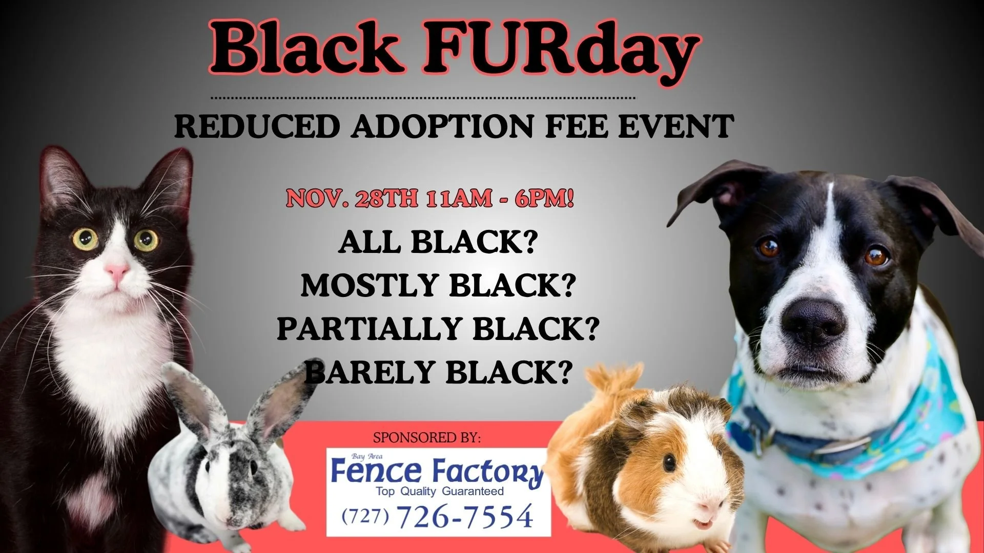Black FURday Adoption Event