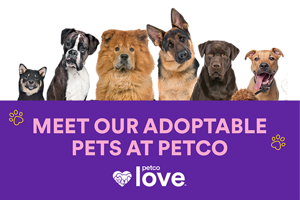 PetCo Adoption Day