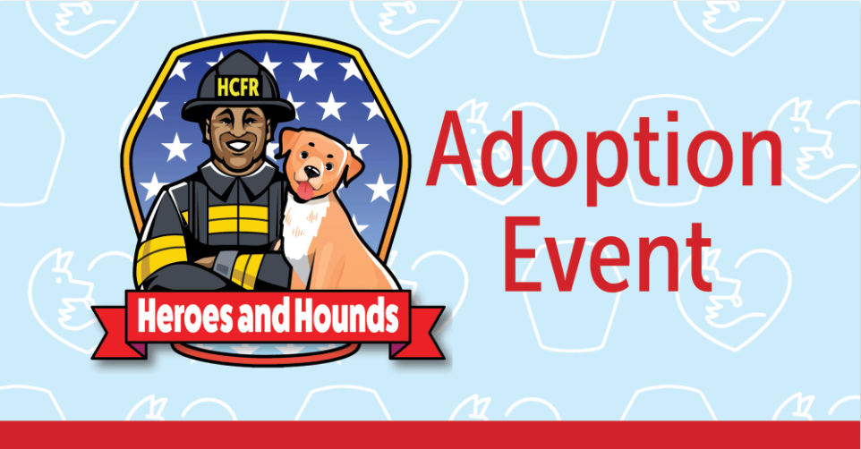 Heroes and Hounds