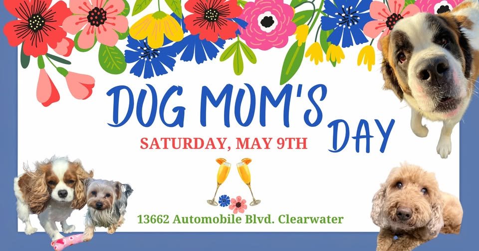 Dog Moms Day - Clearwater