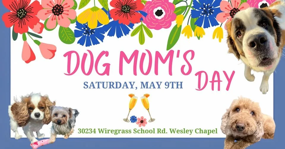 Dog Moms Day - Wesley Chapel
