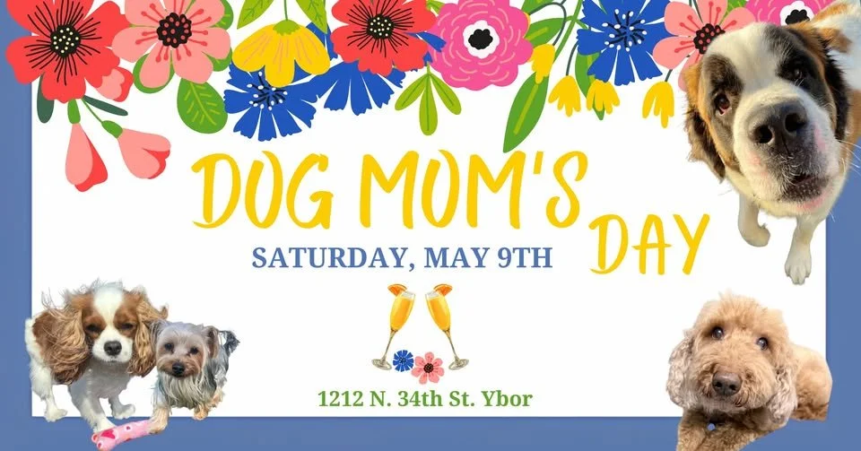 Dog Moms Day -Ybor