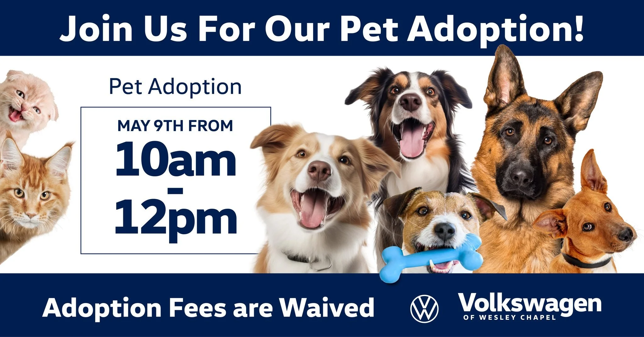 Pet Adoption Event