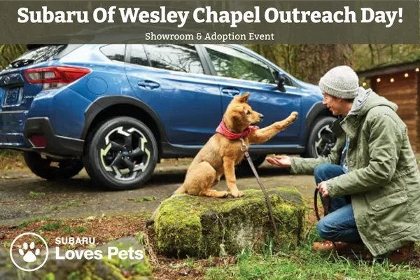 Subaru of Wesley Chapel Outreach Day
