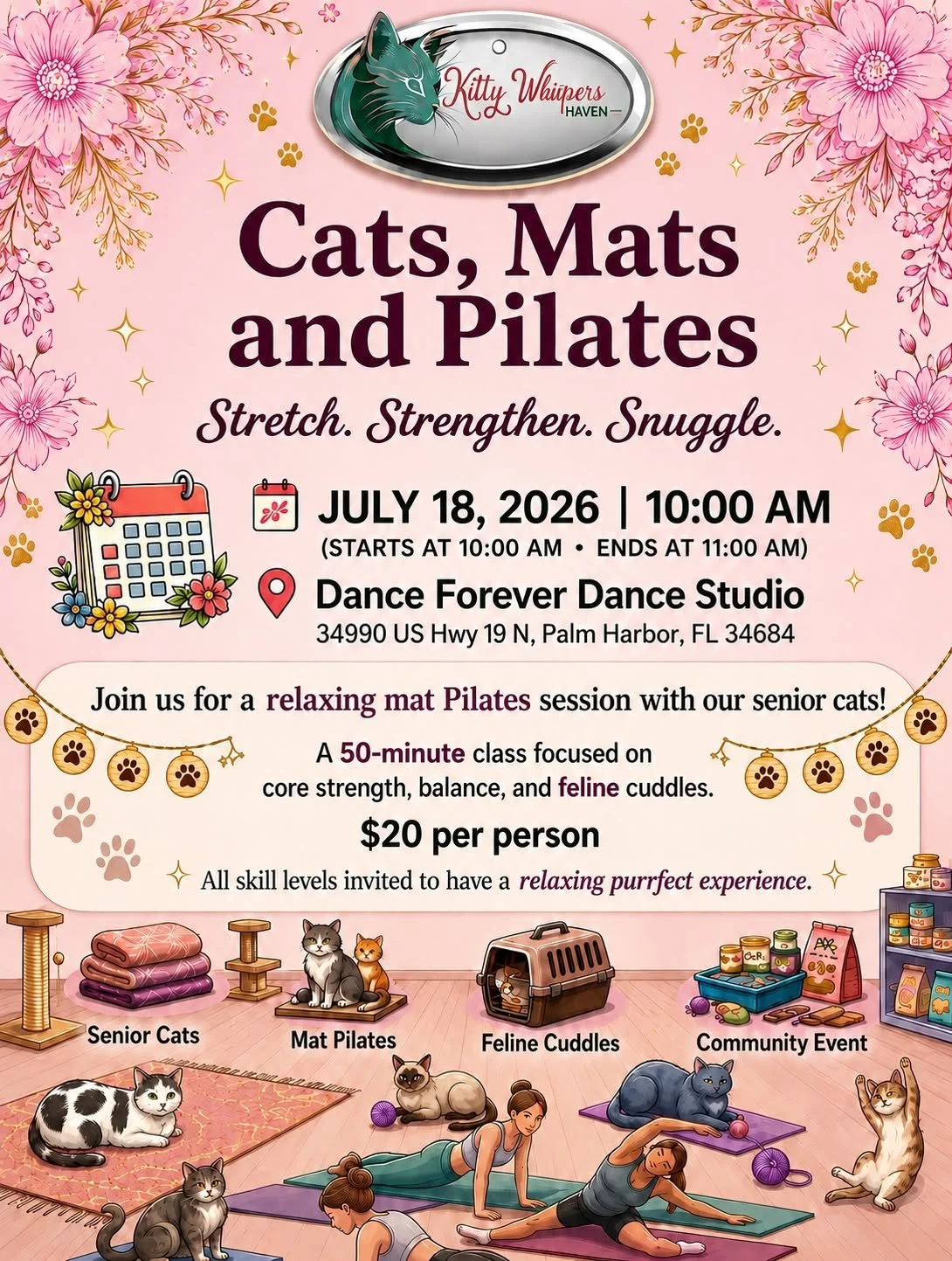 Cats, Mats and Pilates