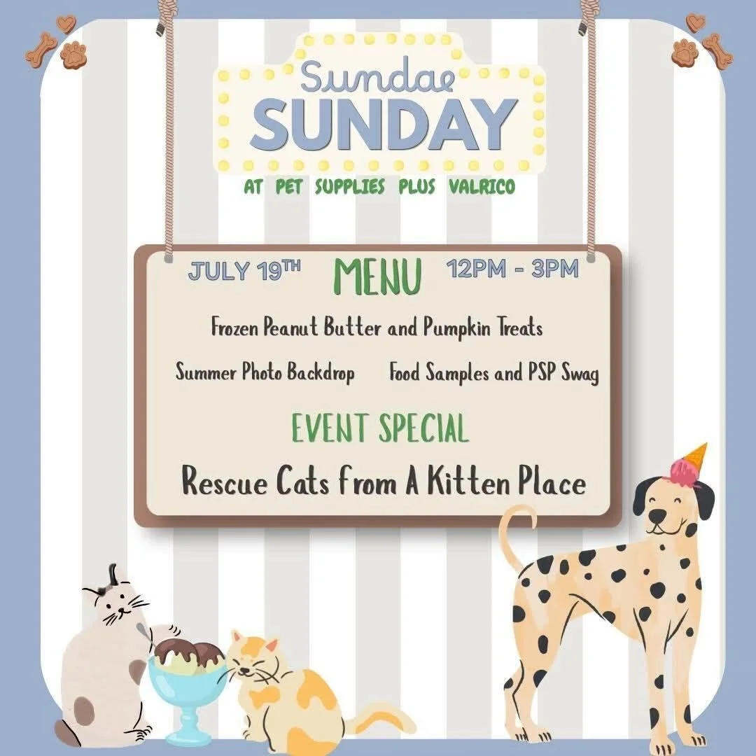 Sundae Sunday Adoption Event