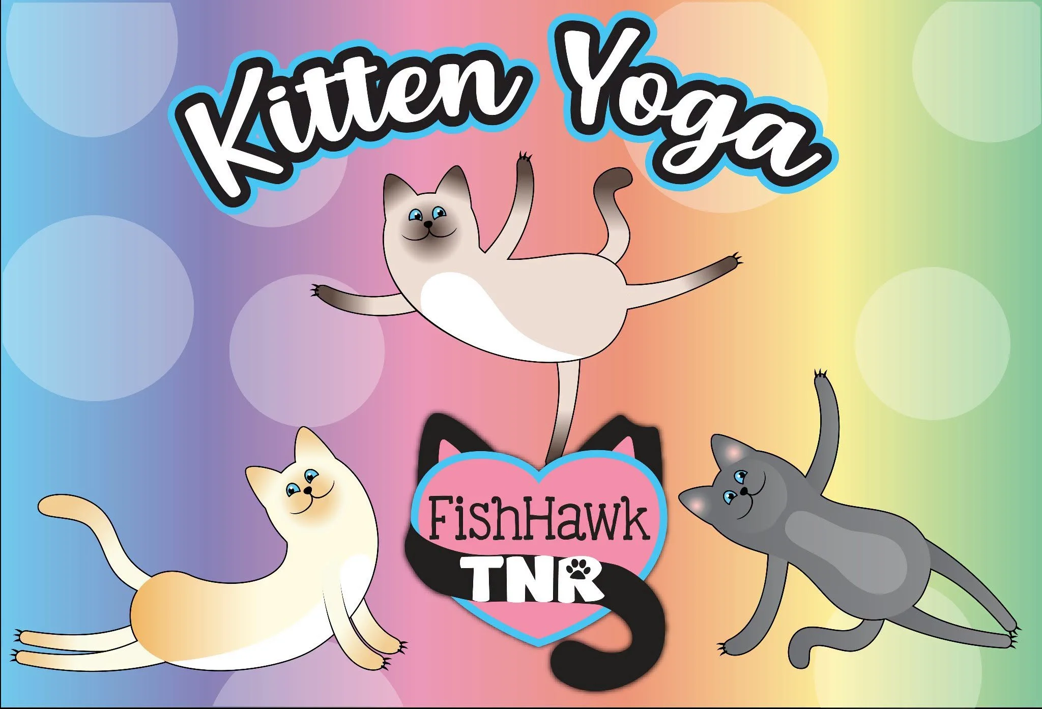 Kitty Yoga!