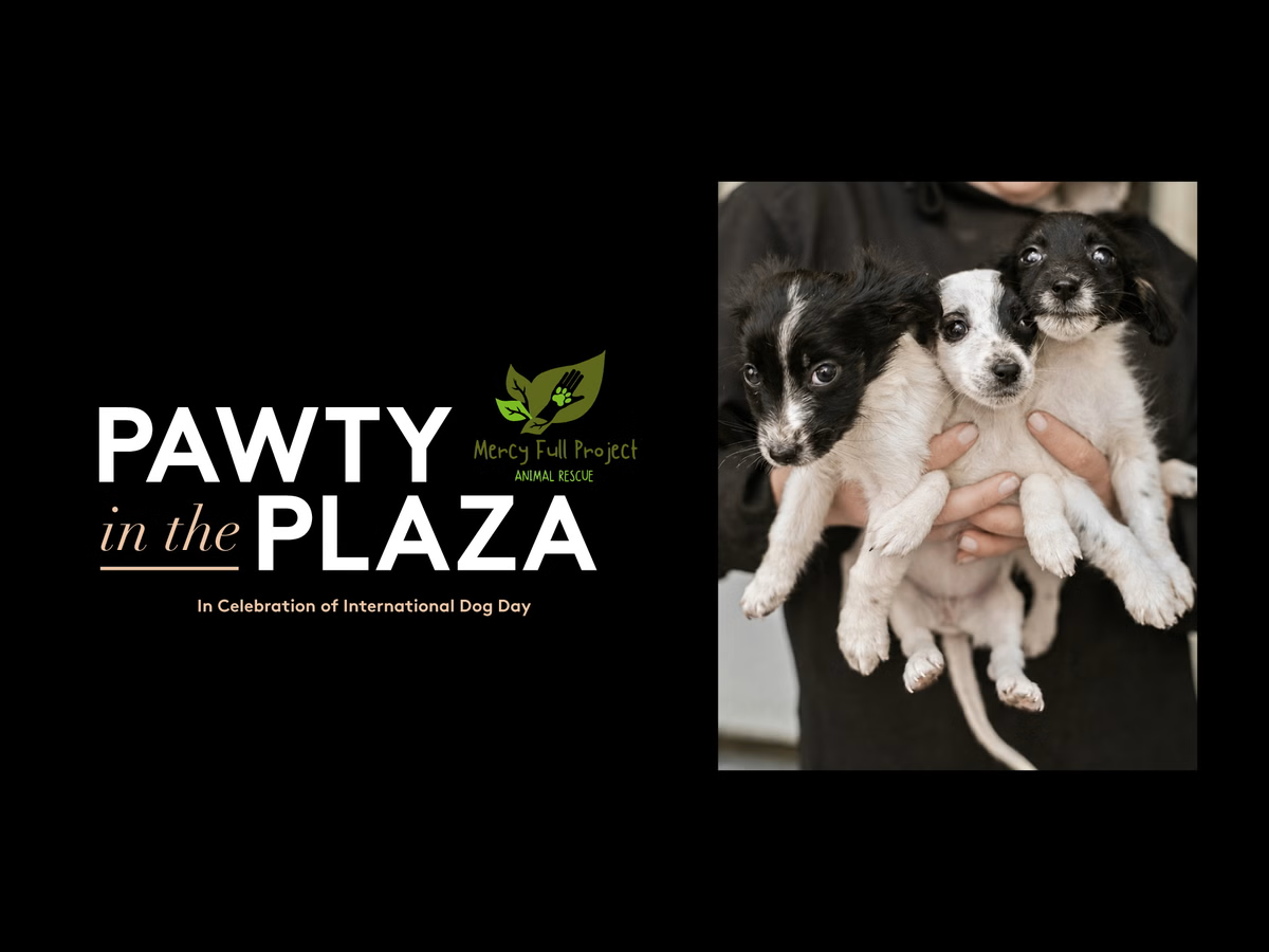 Pawty In The Plaza