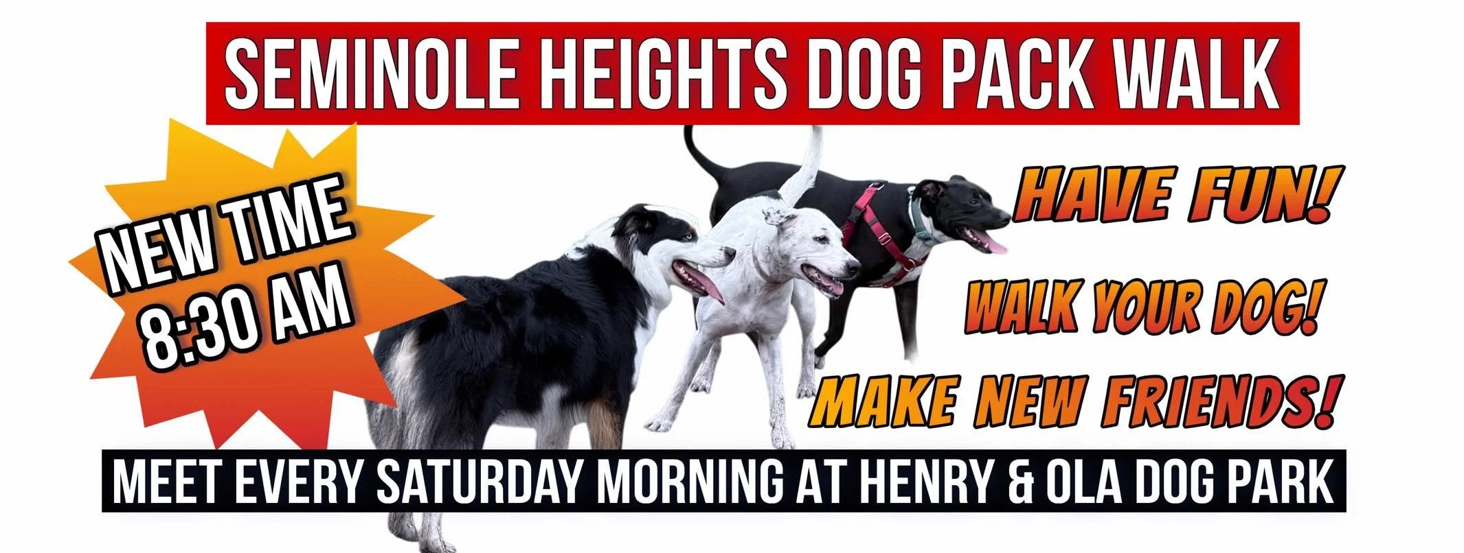 Saturday Pack Walk