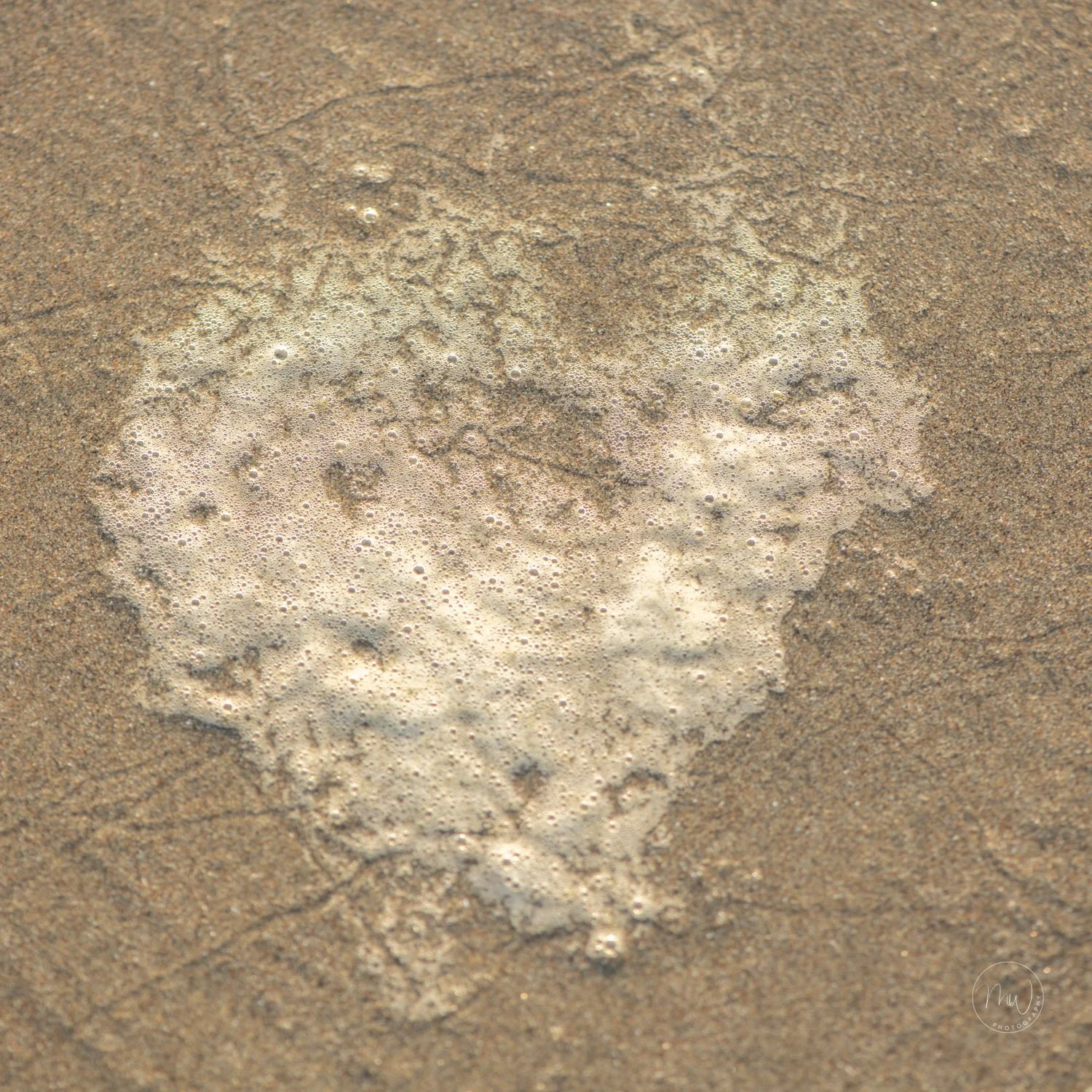 Oregon beach "heart"