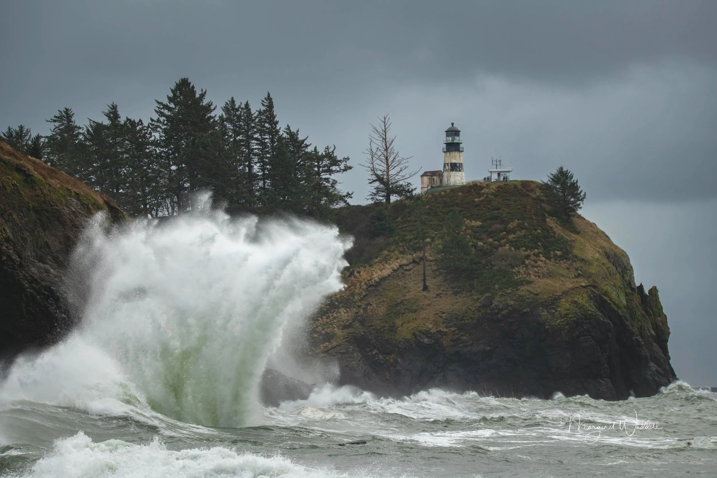 Cape Disappointment, WA USA
