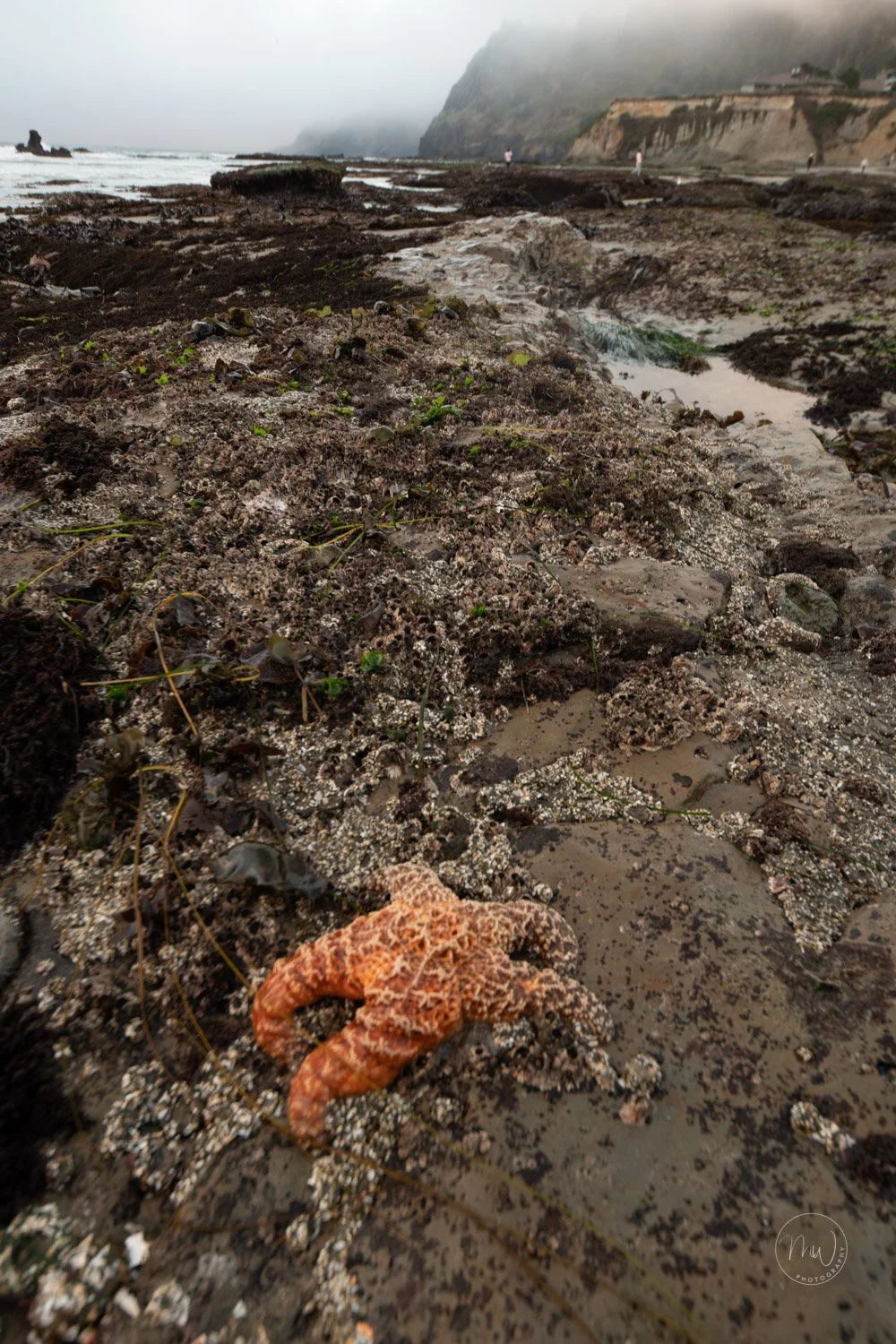 near Devil's Punchbowl