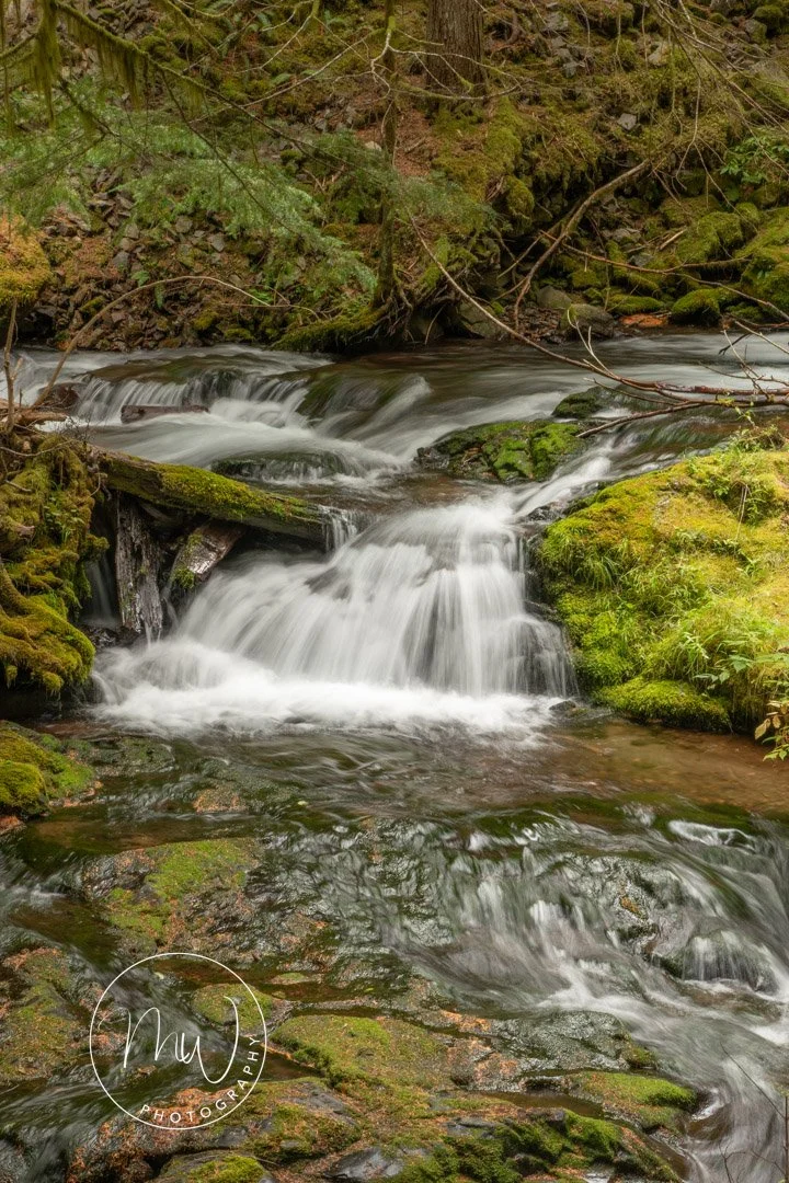 Panther Creek Falls Aug 2023
