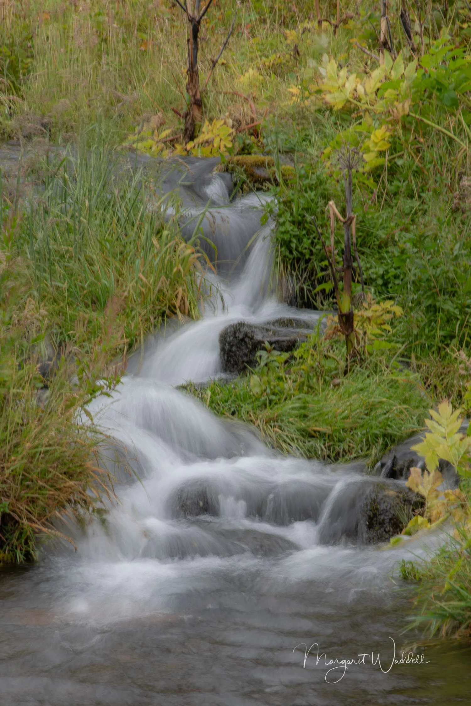 Near Skogafoss