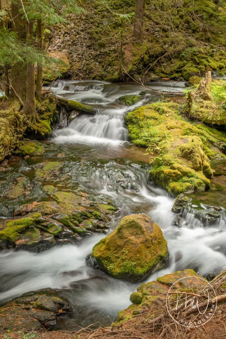 Panther Creek Falls Aug 2023