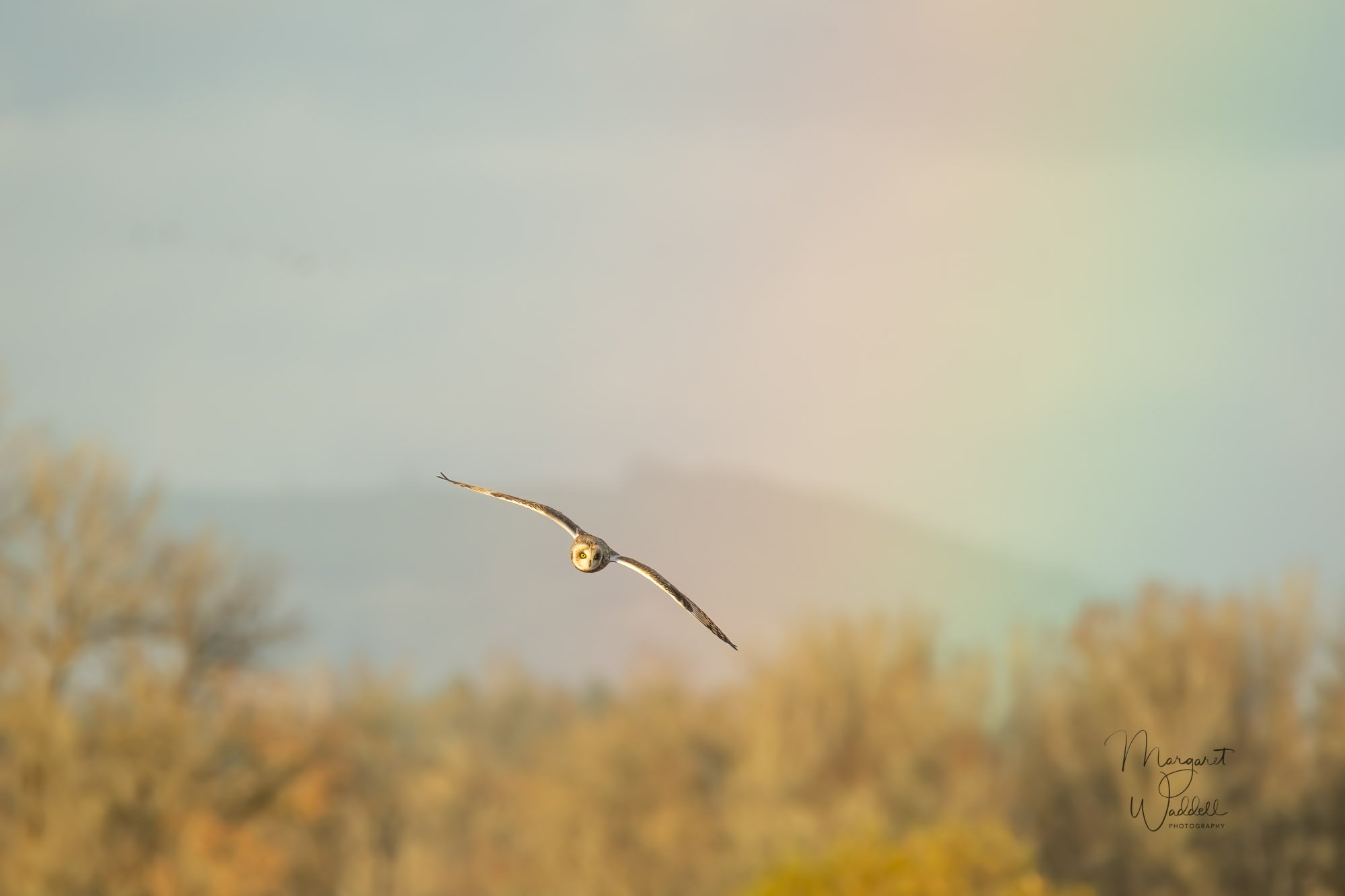 D85_8553-47-Edit.jpg