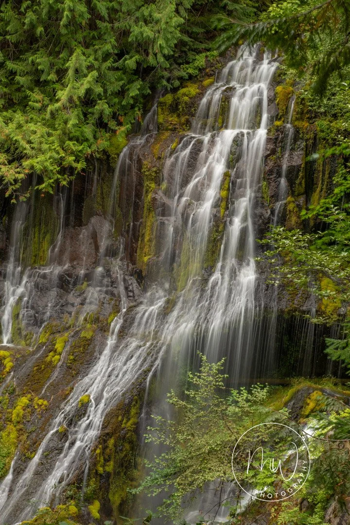 Panther Creek Falls Aug 2023
