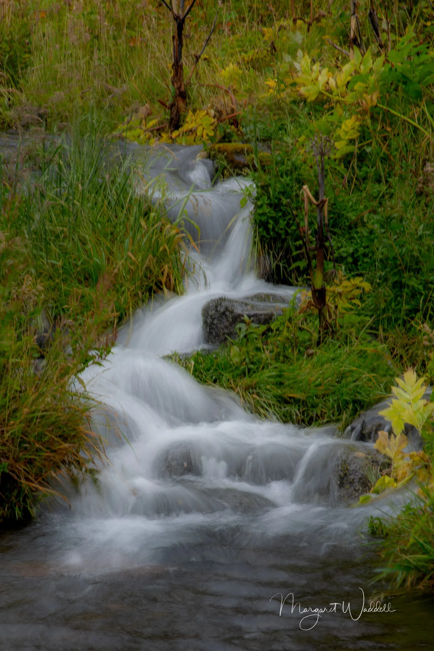 Near Skogafoss