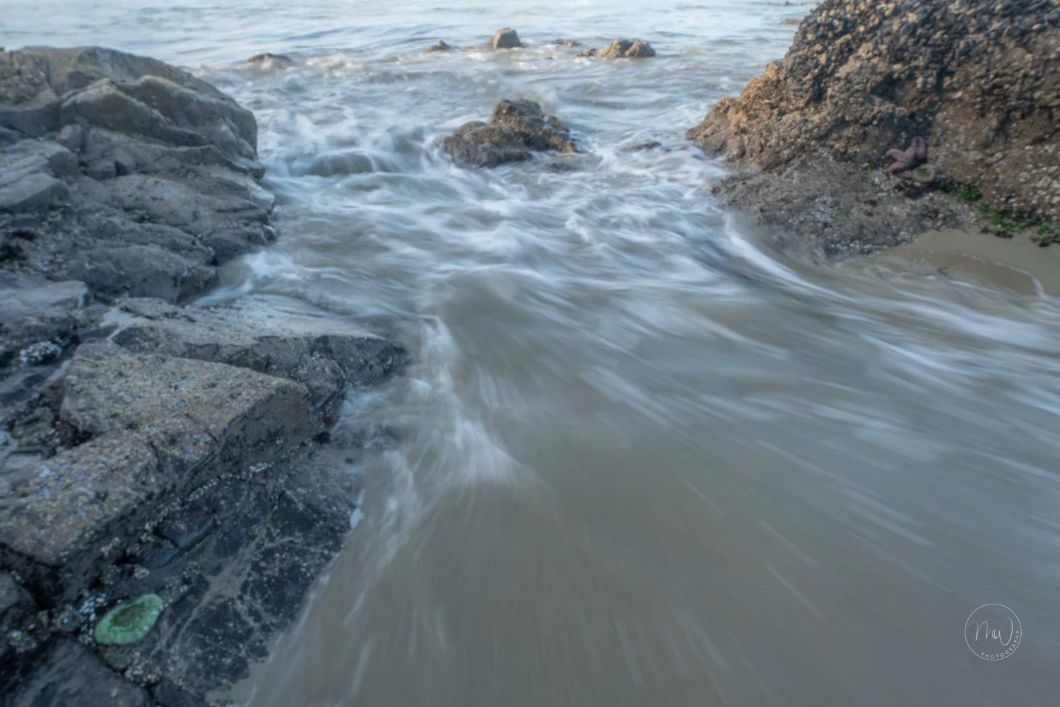 Long exposure Oregon Beach