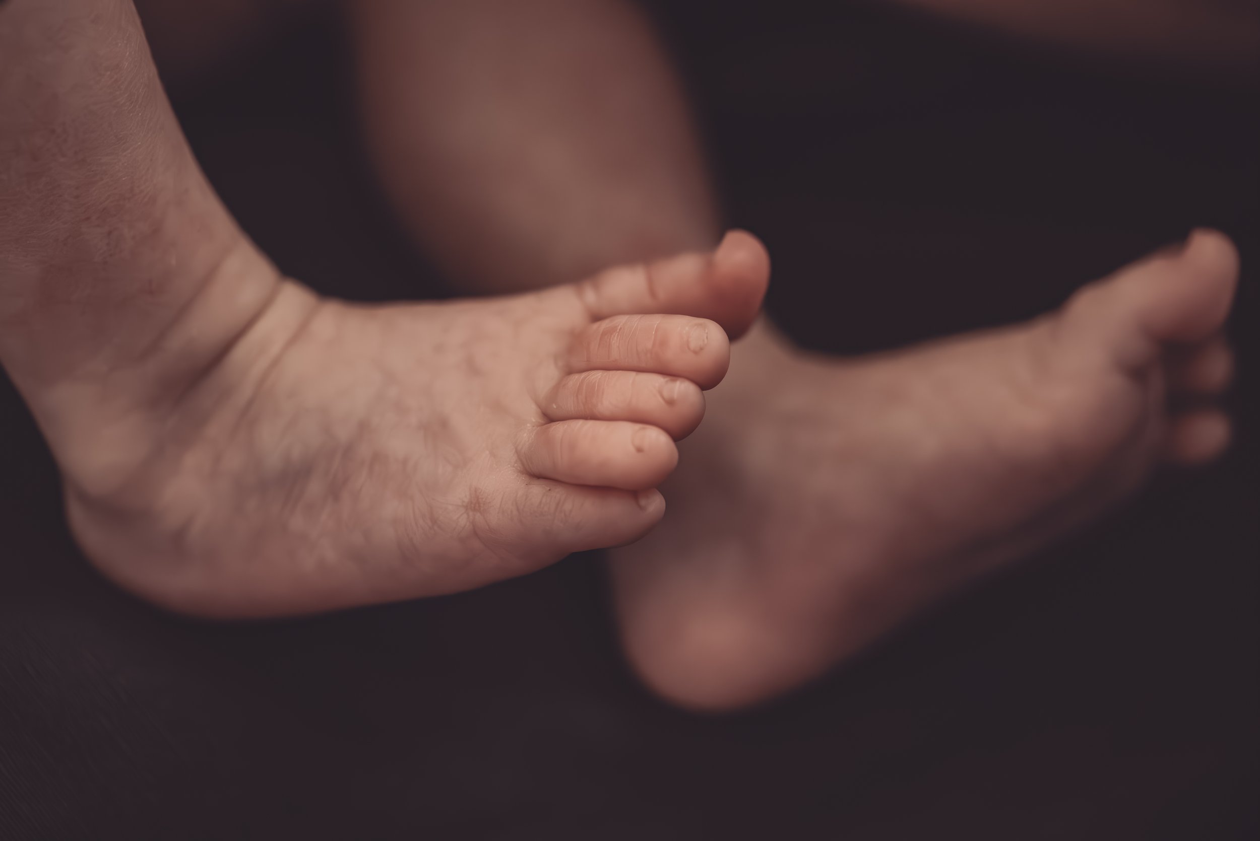 Nicole Johnson Photography ~ Newborn Session, close up of feet and toes