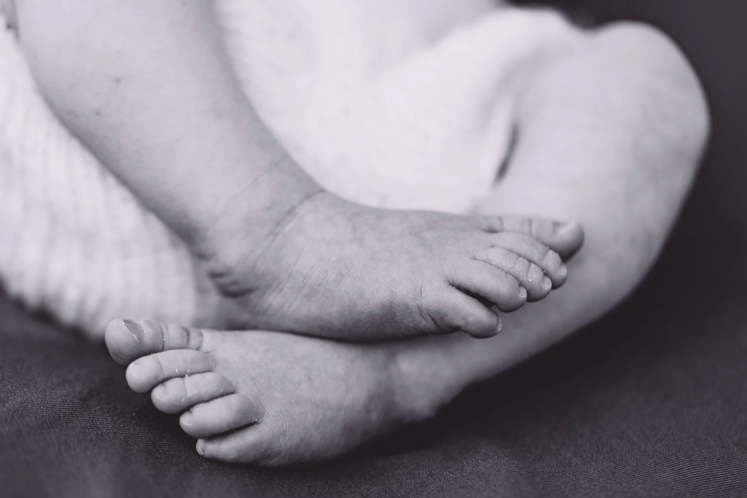 Close-up of a baby holding onto an adult's hand, black and white photograph during Newborn session by Nicole Johnson Photography