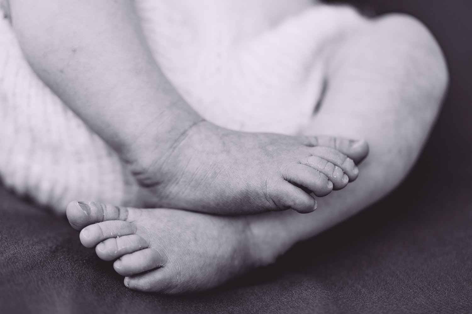 Nicole Johnson Photography ~ Newborn session, black and white close up of feet