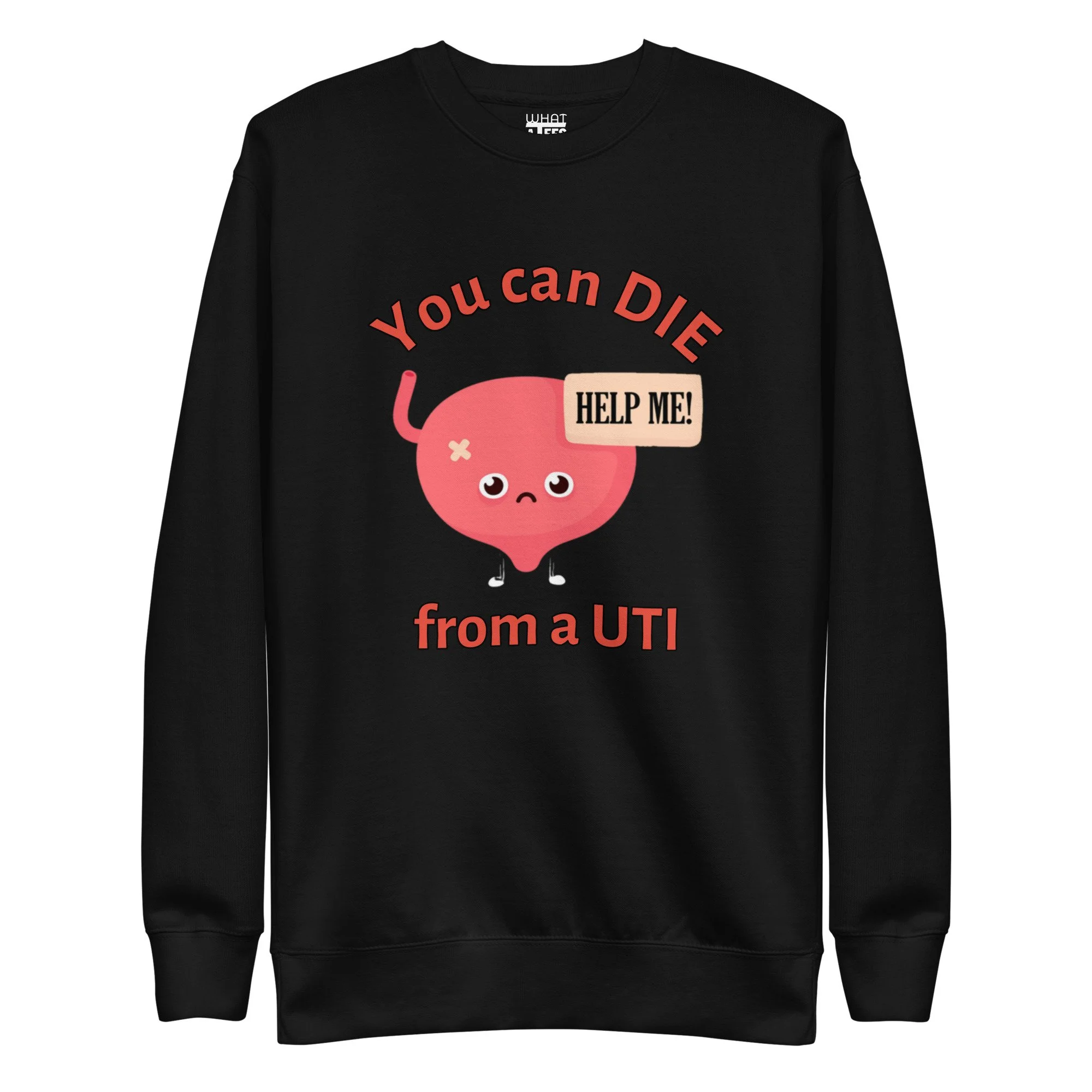 unisex-premium-sweatshirt-black-front-64dd82678f619.jpg