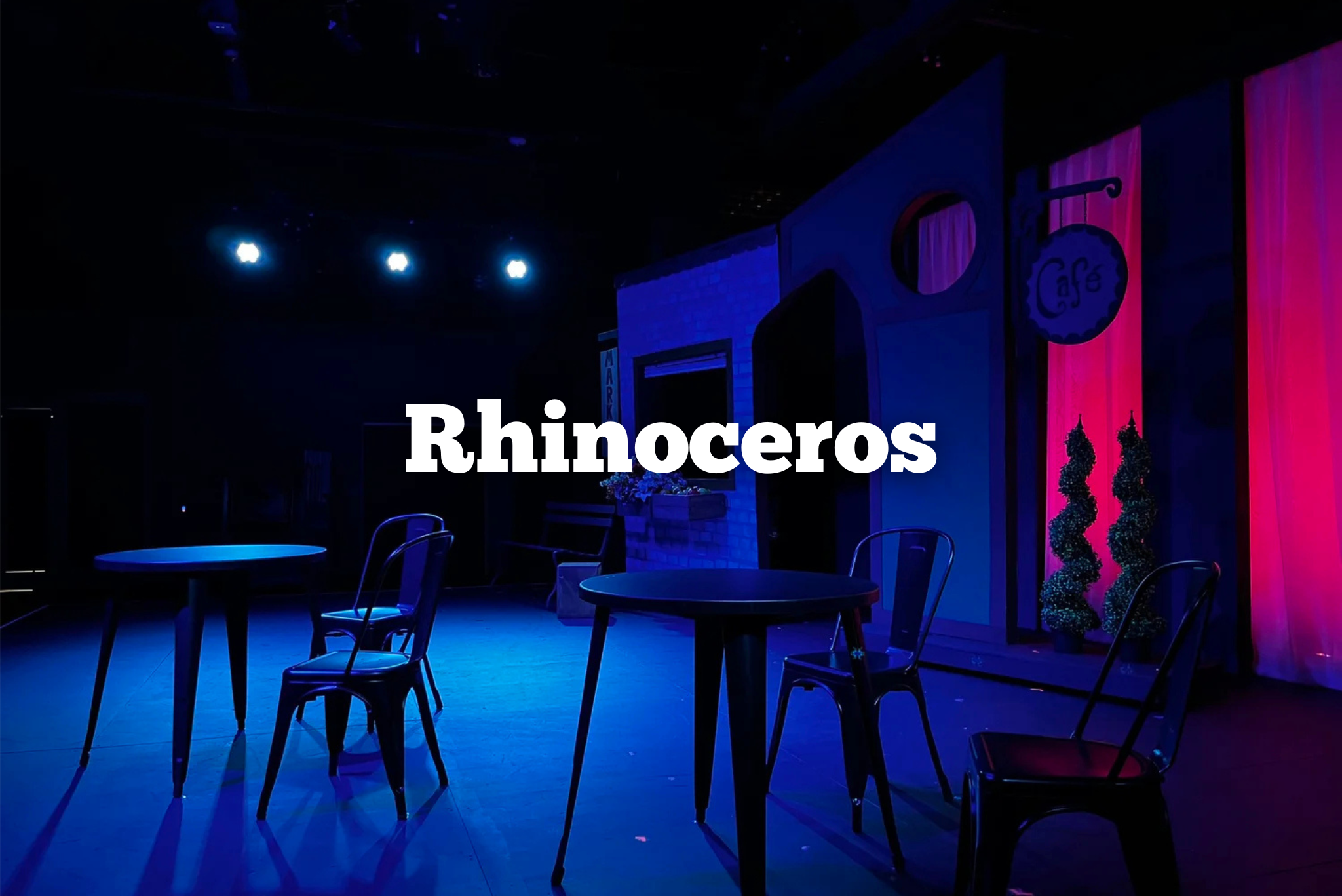 Rhinoceros