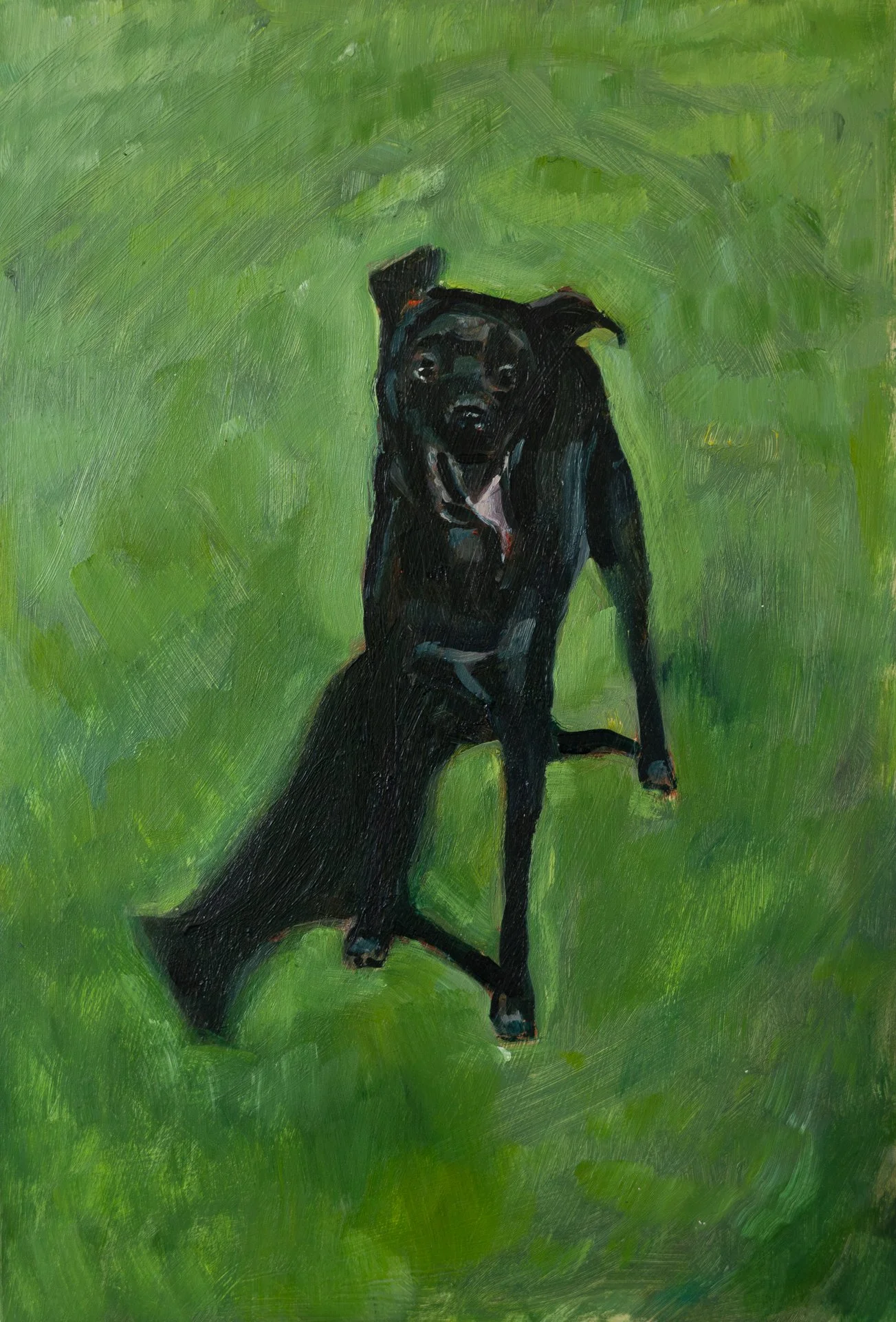 Walks with dogs, 16 x 24 cm, oil on paper, 2025