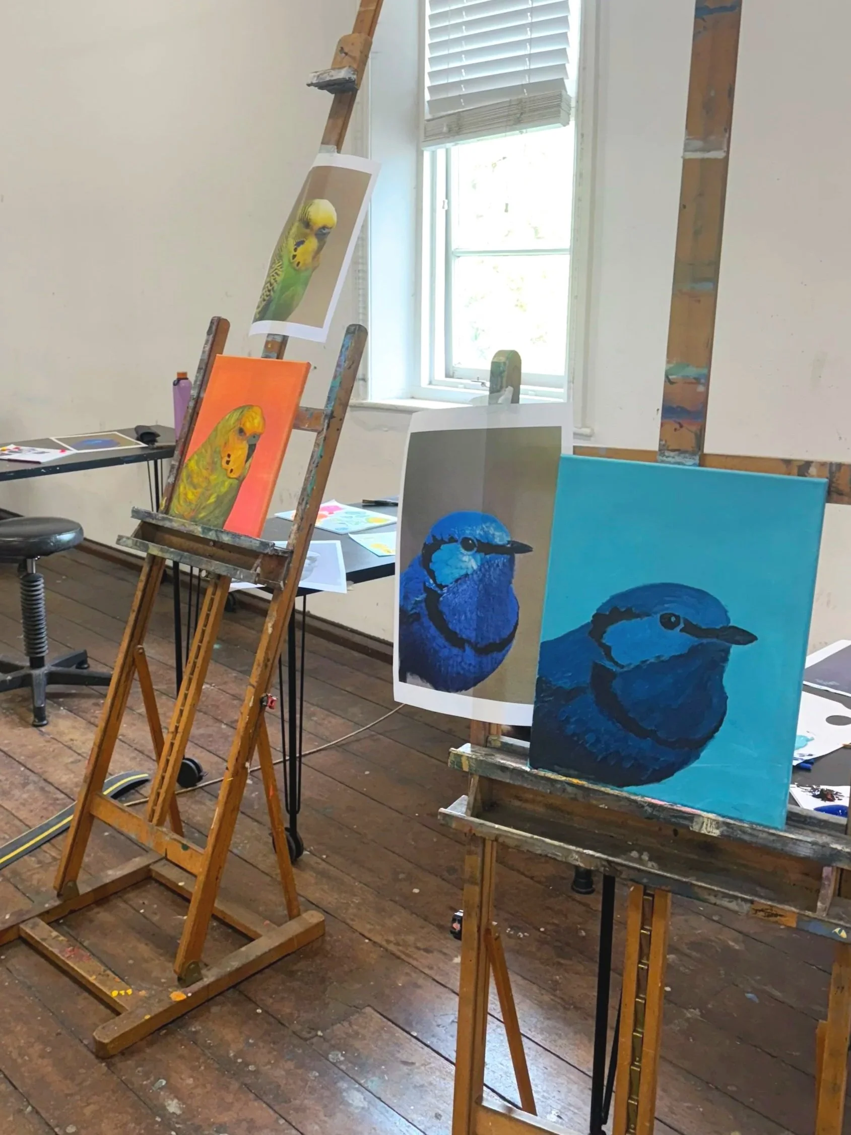 Paint a WA bird portrait (acrylics): Term 4 Walyalup Fremantle Arts Centre