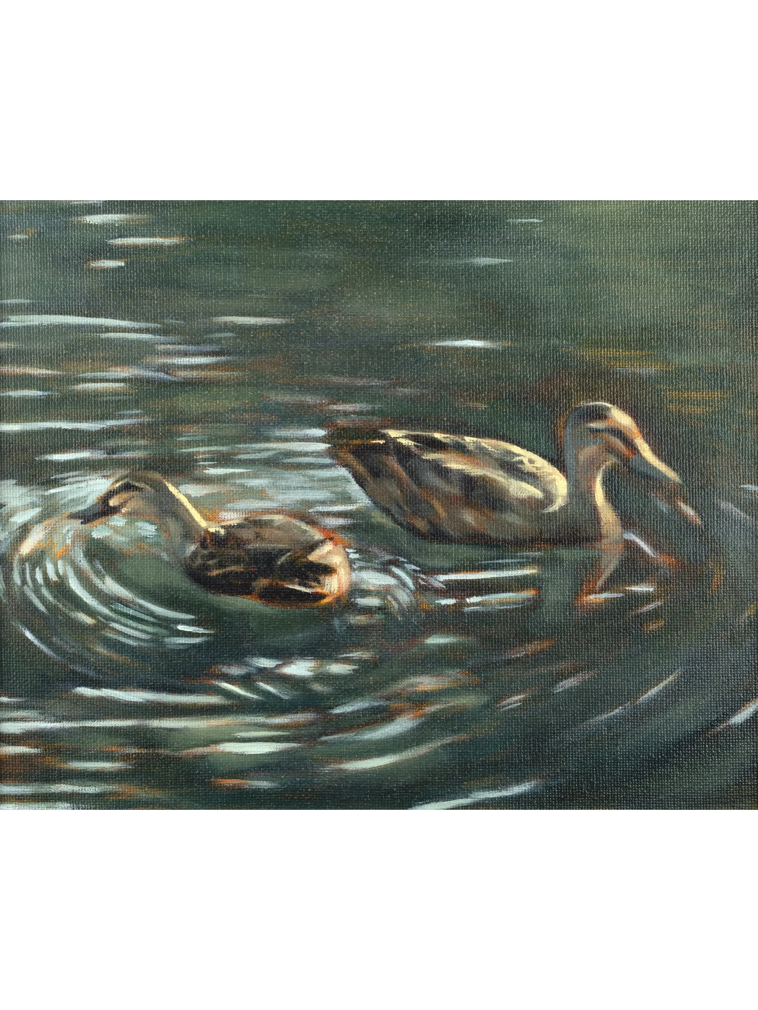 Lover Ducks
