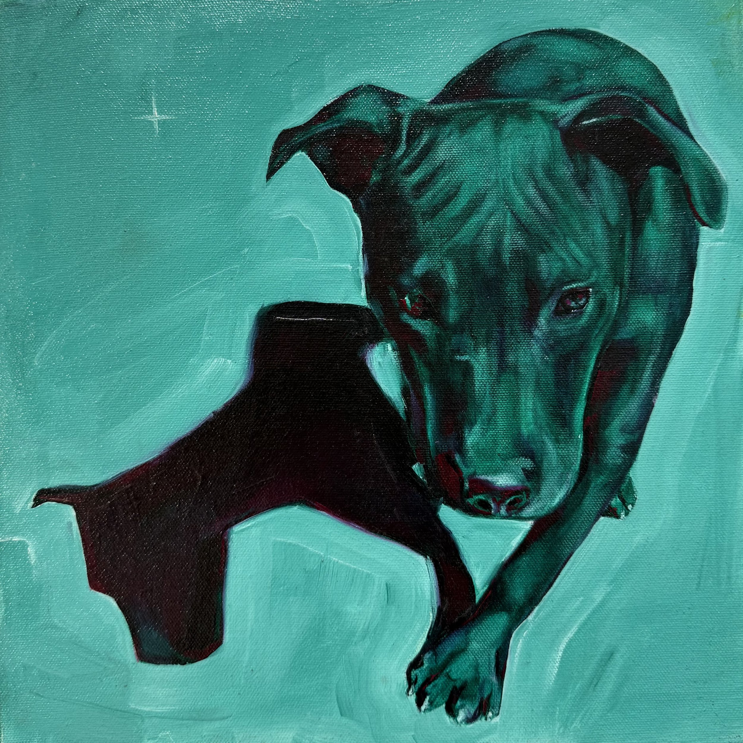 Punmu dog # 1, 30 x 30 cm, oil on canvas, 2024