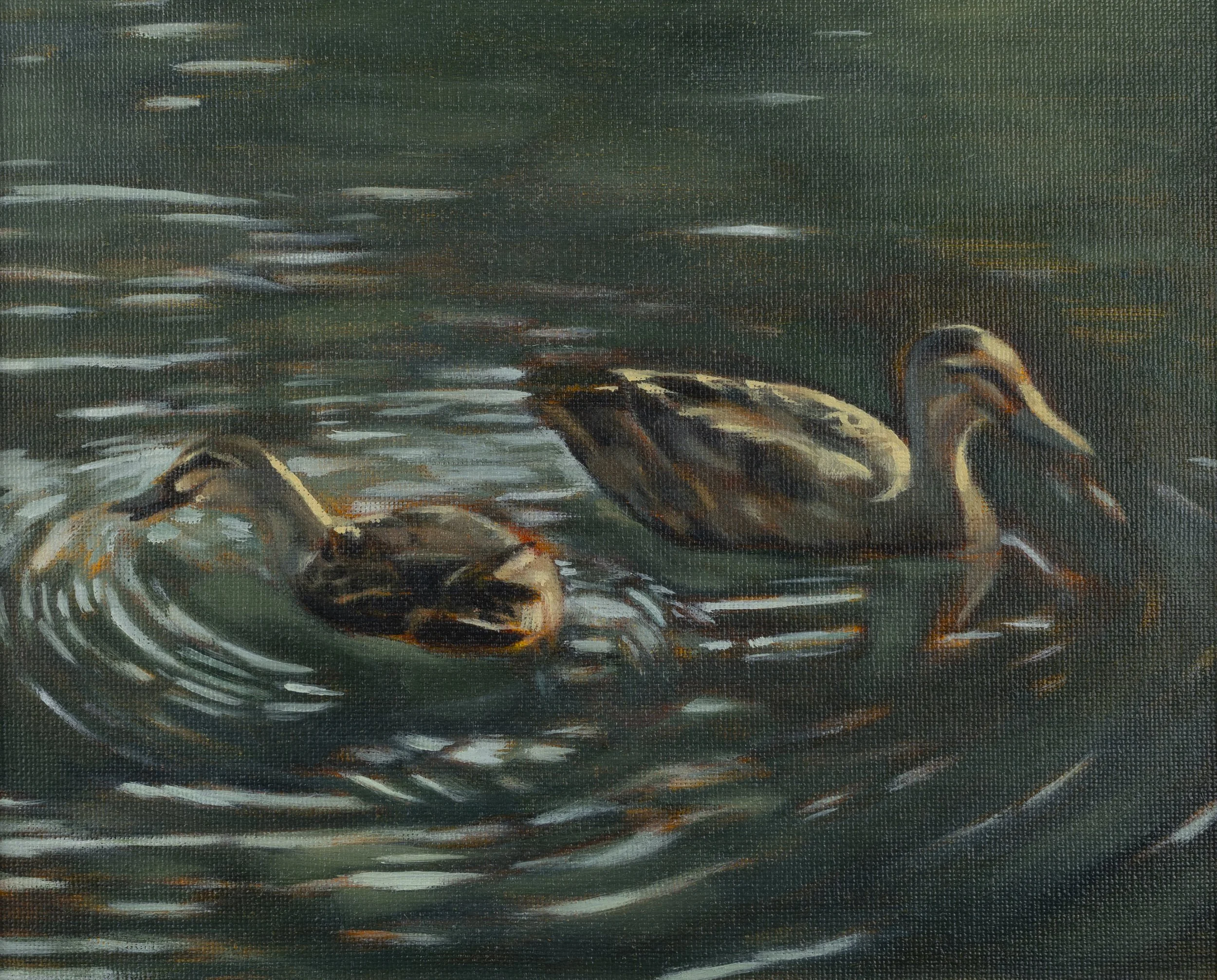 Lover Ducks, 25 x 20 cm, oil and acrylic on framed canvas, 2025