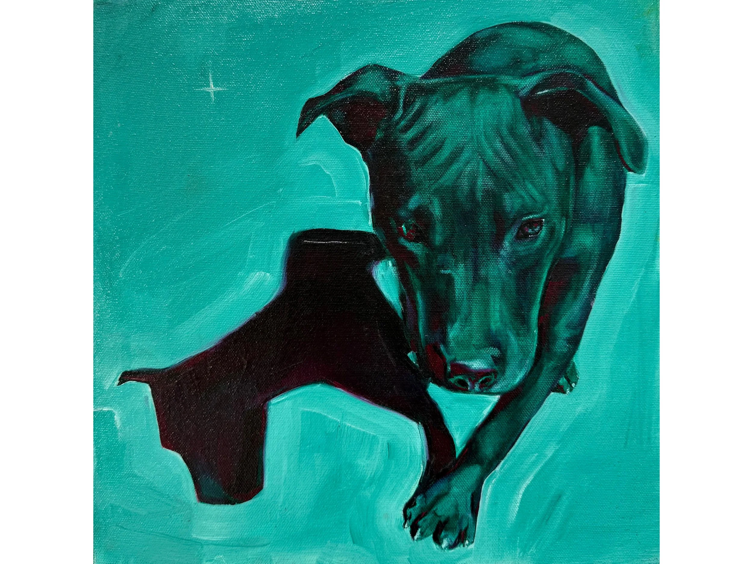 Punmu dog #1