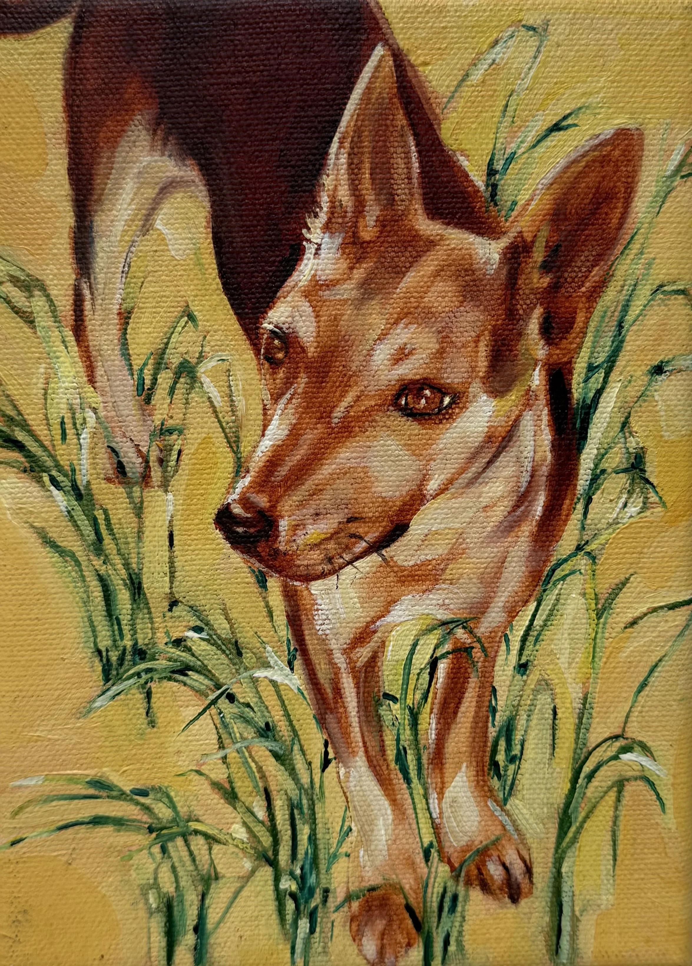 Punmu Dog # 2, 17 x 19 cm, oil on canvas, 2024