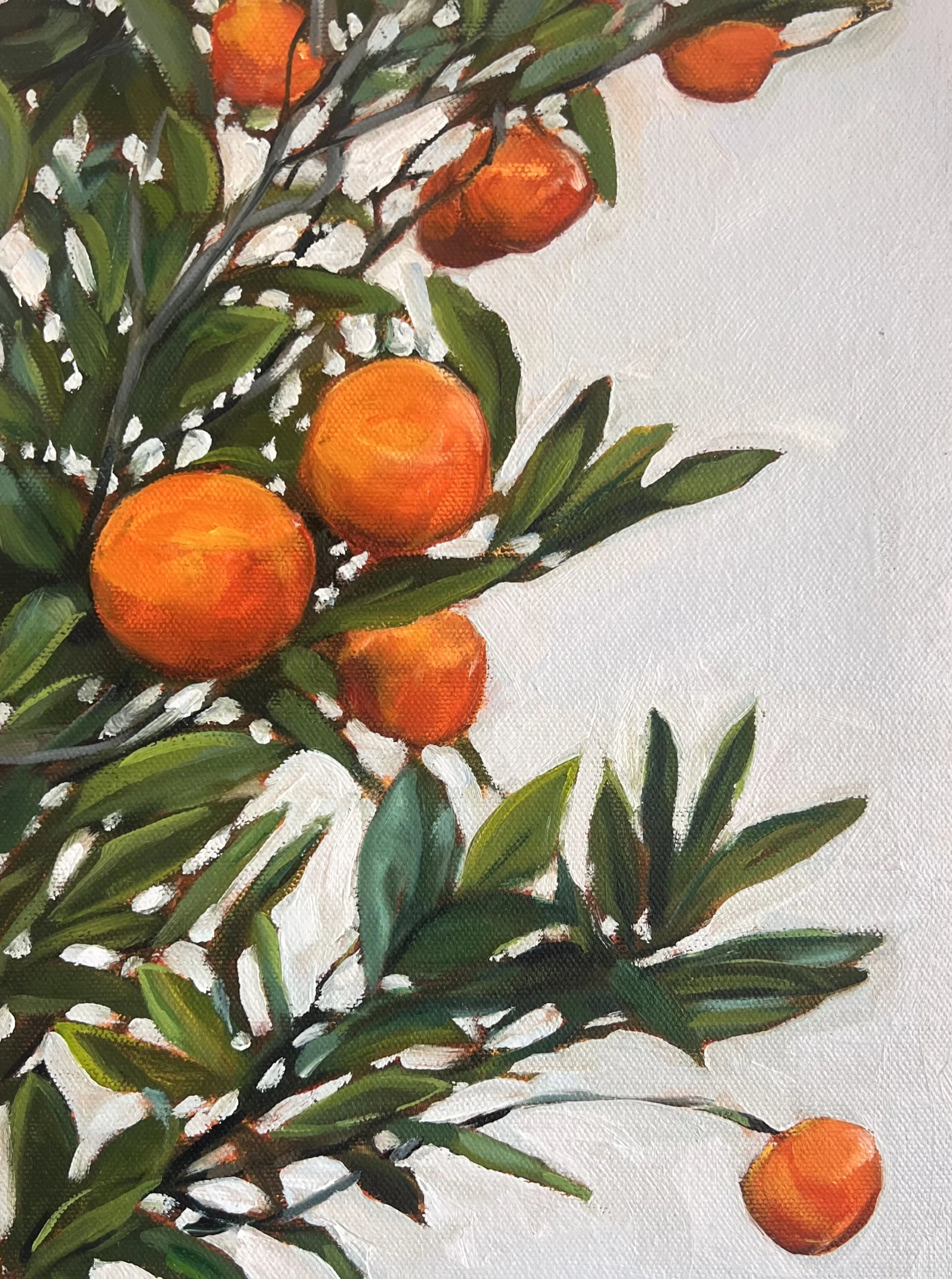Mandarin tree study, 20 x 30 cm, oil on canvas, 2024