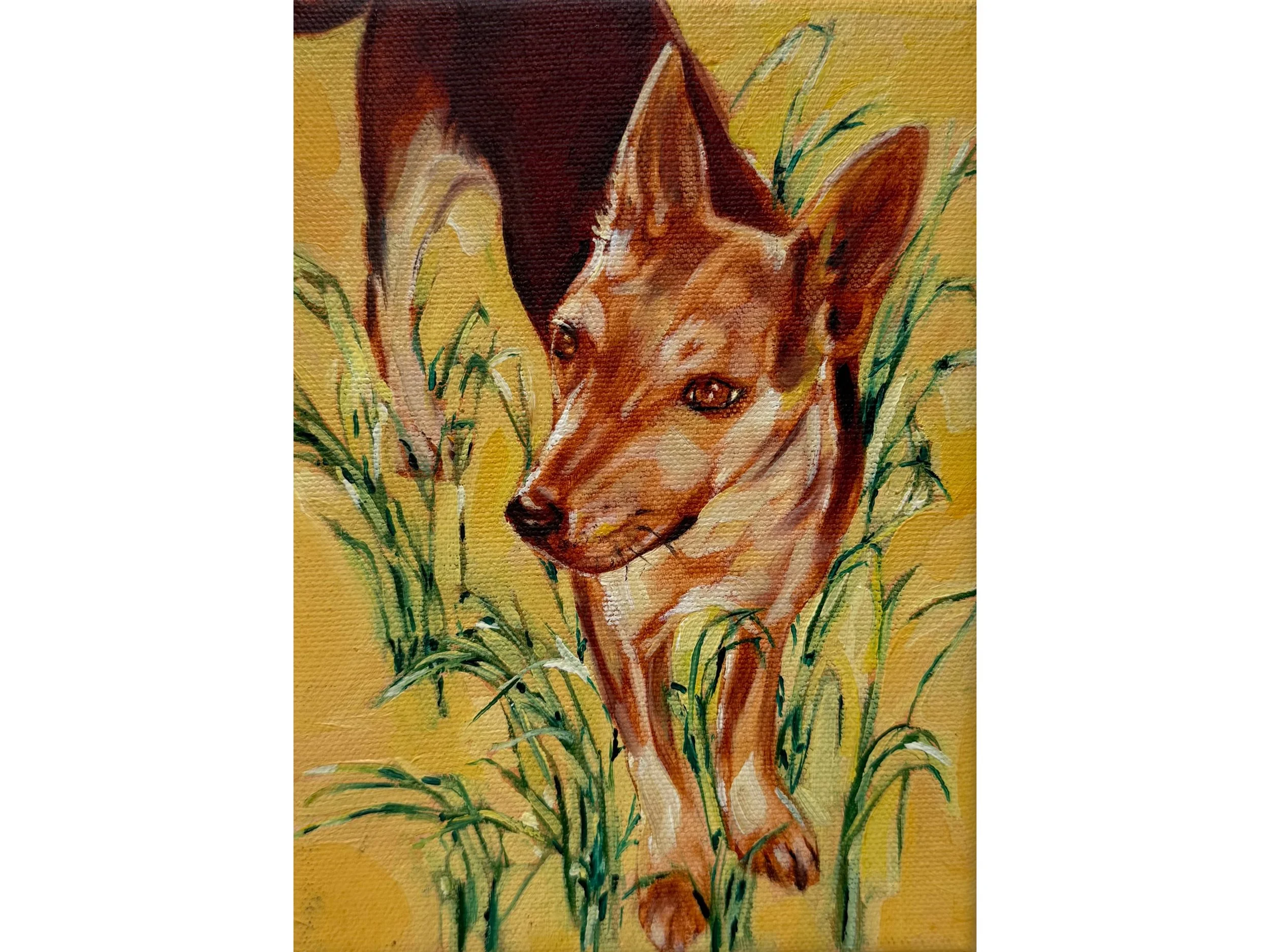 Punmu Dog #2