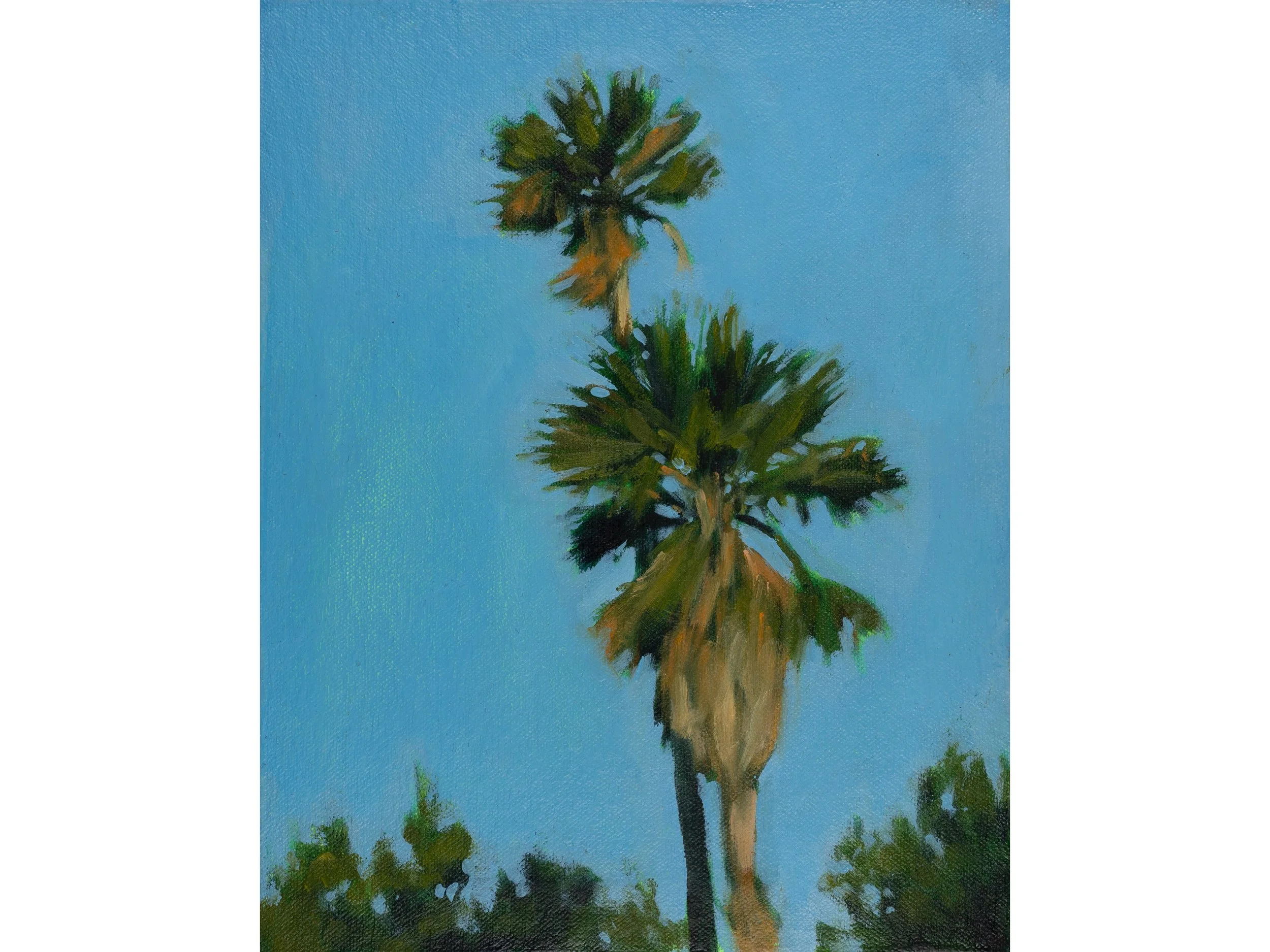 Palm trees #1