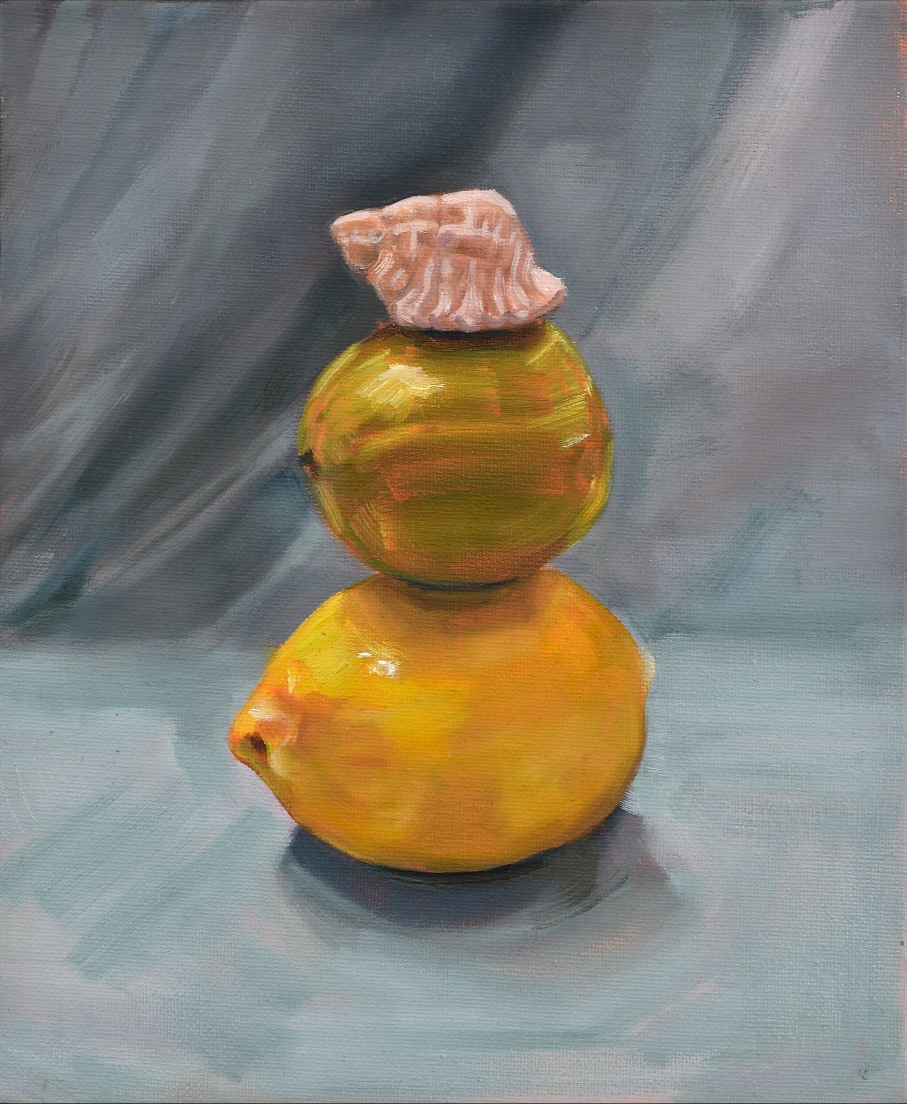 Citrus and shell stack, 30x25cm, oil on canvas, 2022