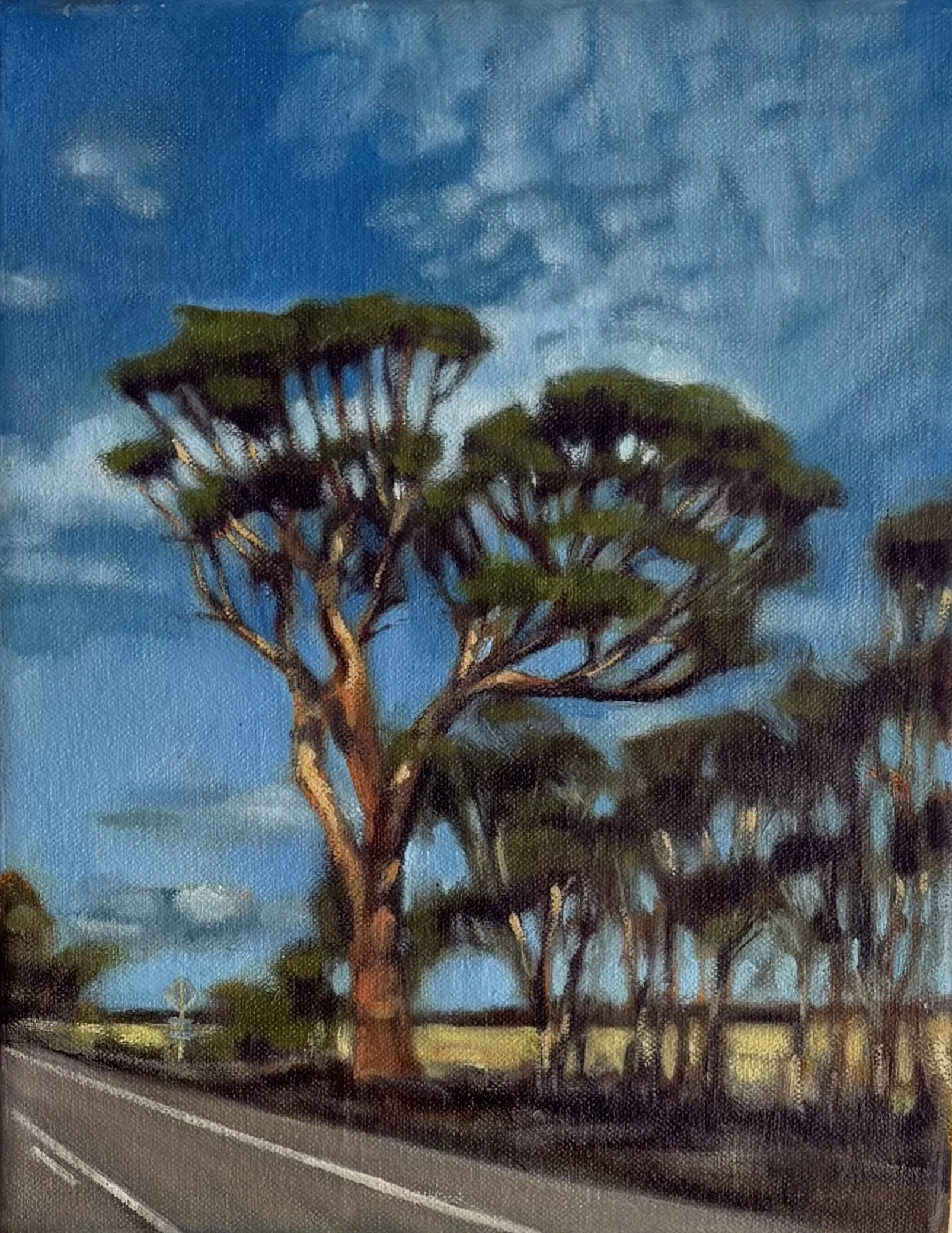 Roadside gums, 20 x 25 cm, oil and acrylic on canvas, 2025