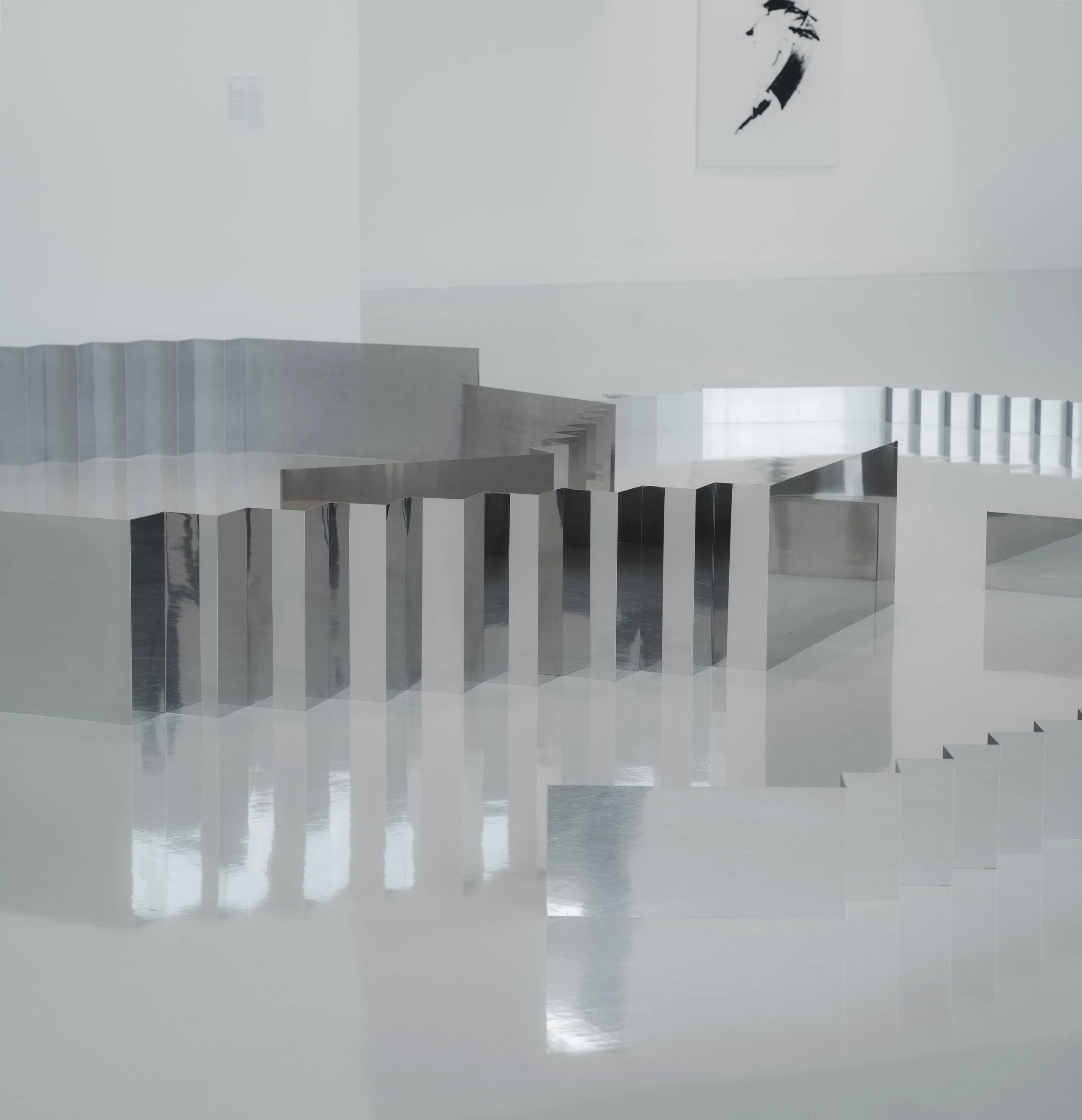 Invisible Shell_L1580396.jpg