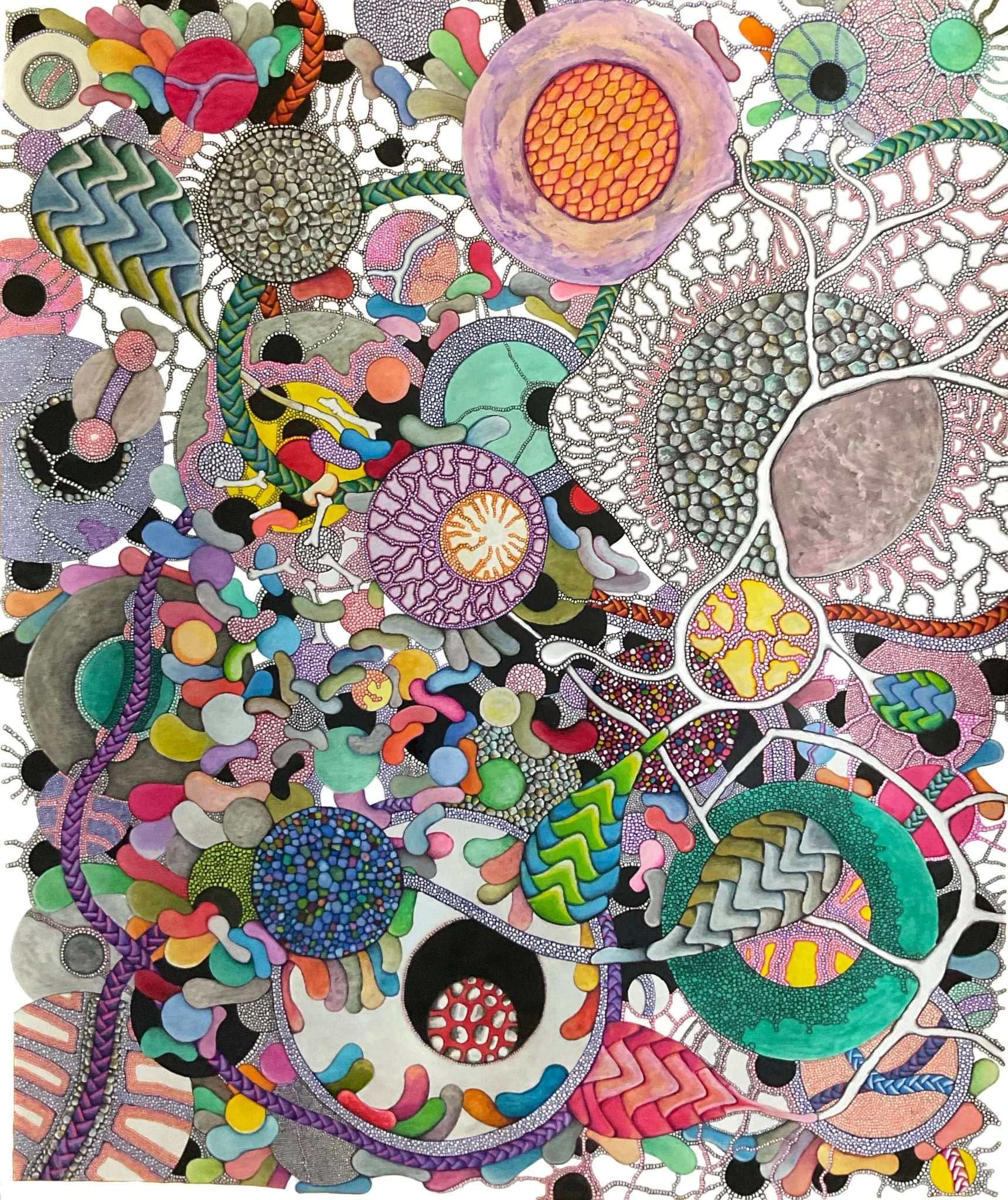 Untitled  Jeremy Hawkes.jpeg