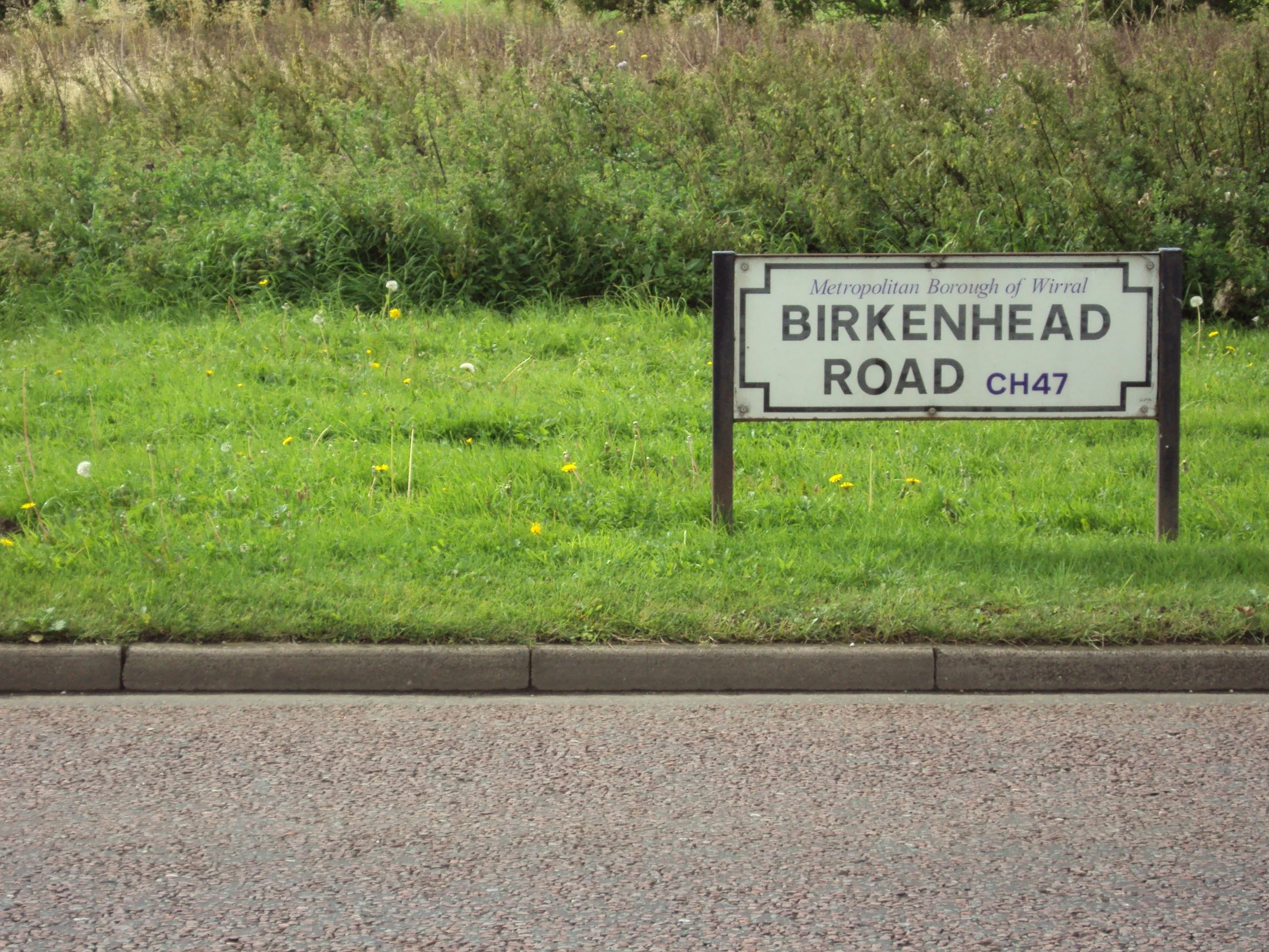 Street sign for Birkenhead Road on a grassy roadside with a sidewalk in the foreground and a bushy background.
