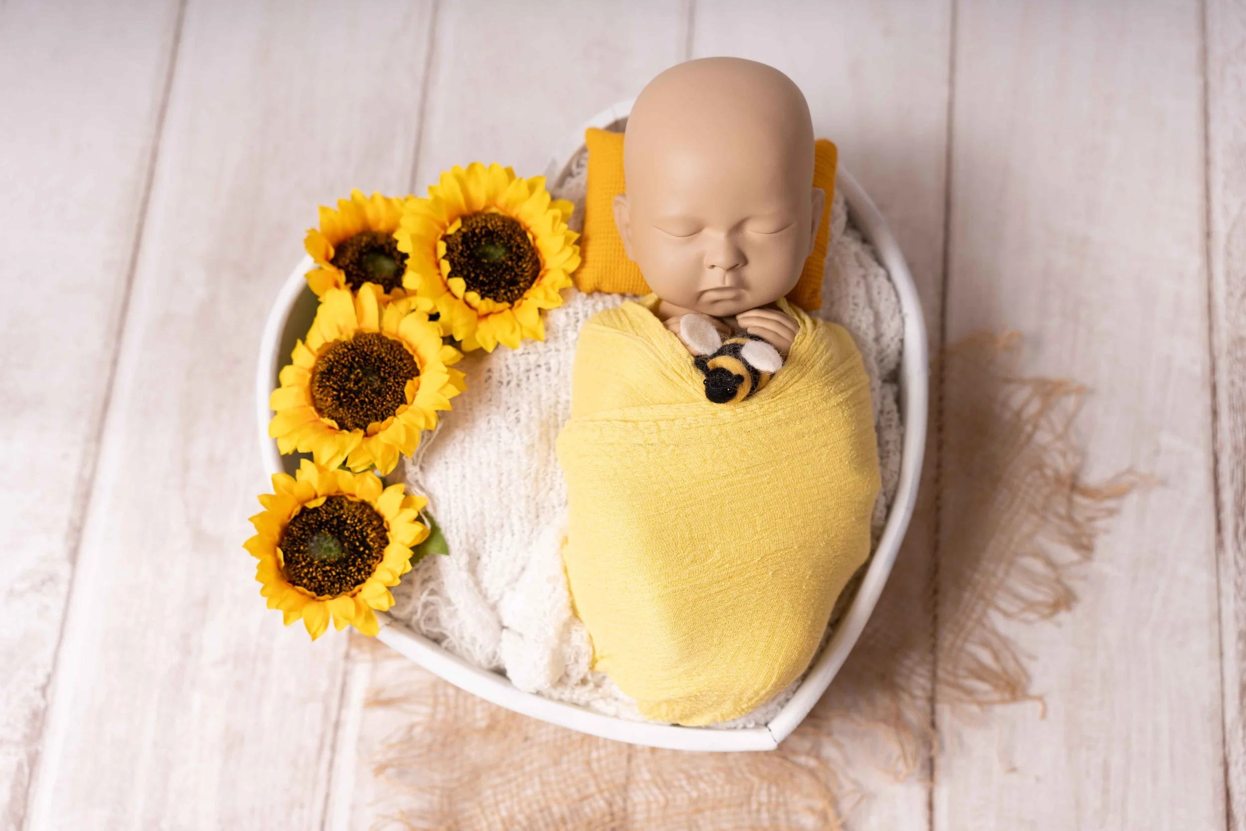 Prop Beispielbilder-0003.jpg