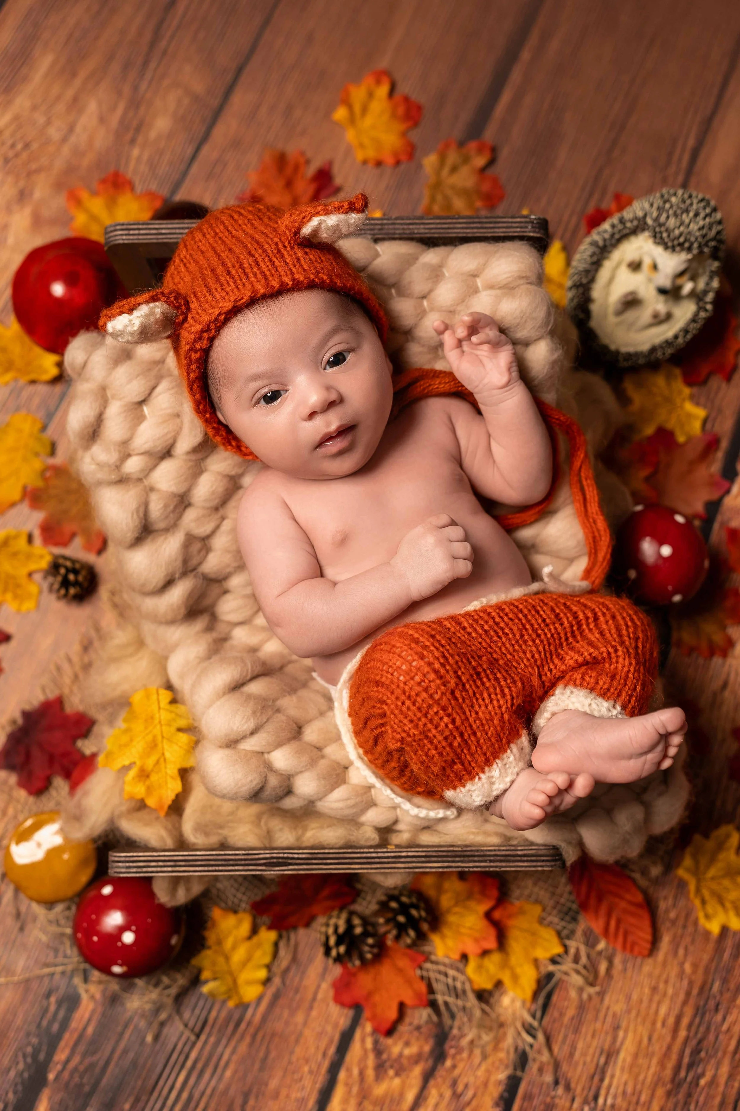 Newborn Indoor Studio Shooting  (46).jpg