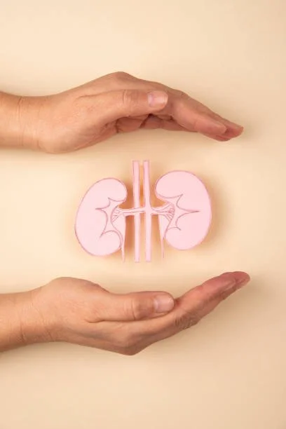 Kidney Health
