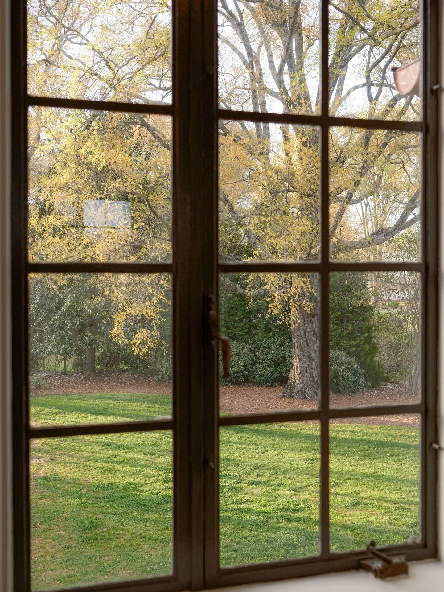 Spring is here and yes, the allergies are doing their thing&hellip; but so is the sunshine, the fresh energy, and that feeling of starting over.

It&rsquo;s the perfect time to check in on you. Schedule your physical, ask about hormone optimization, 