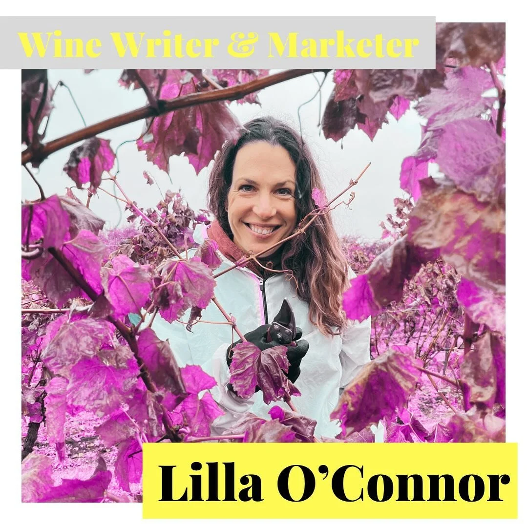 Ever wondered how some wine regions - often those with deep viticultural history - appear to &lsquo;suddenly&rsquo; pop-up on the wine scene? Well, sometimes it&rsquo;s down to a big injection of marketing cash and sometimes it&rsquo;s down to one or